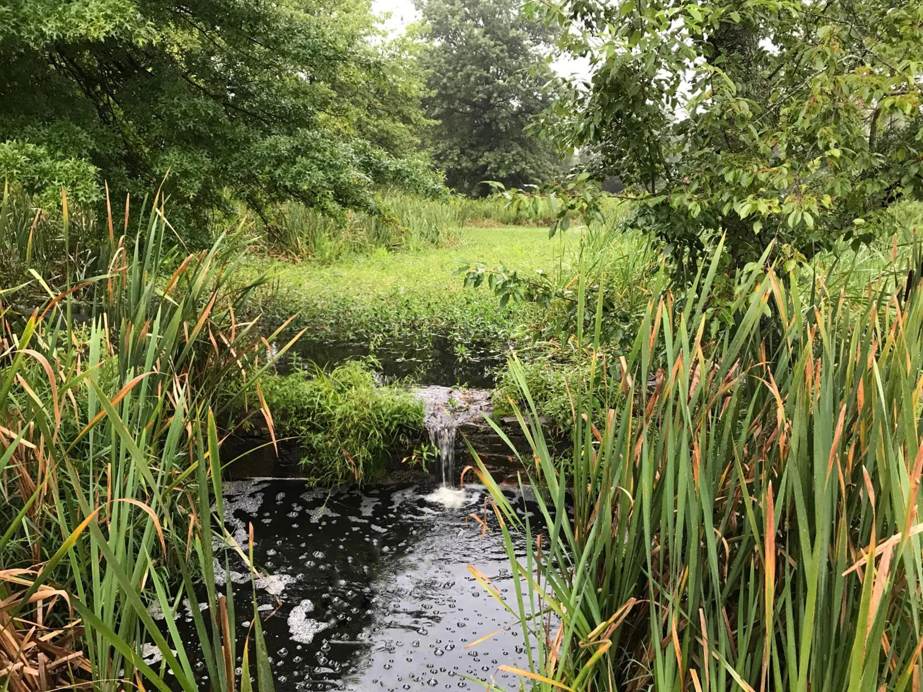 Natural landscape in Galvanized America Inn & Art Gallery