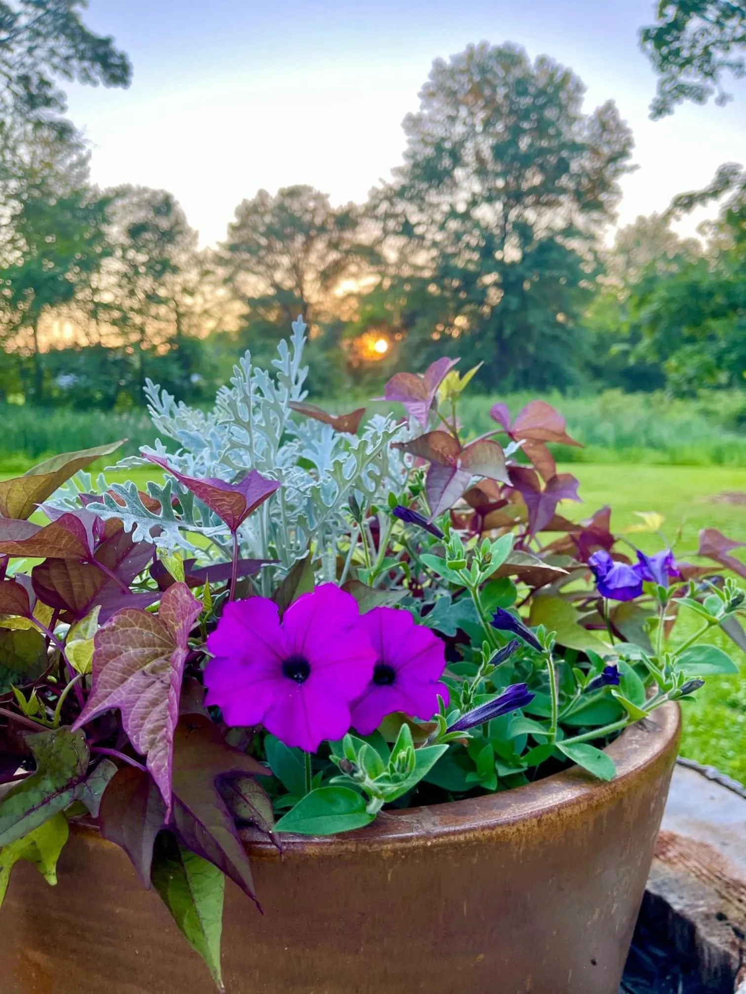 Natural landscape in Galvanized America Inn & Art Gallery