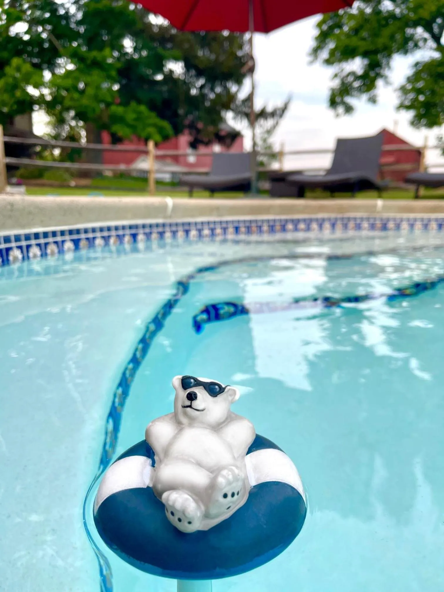 Swimming pool in Galvanized America Inn & Art Gallery