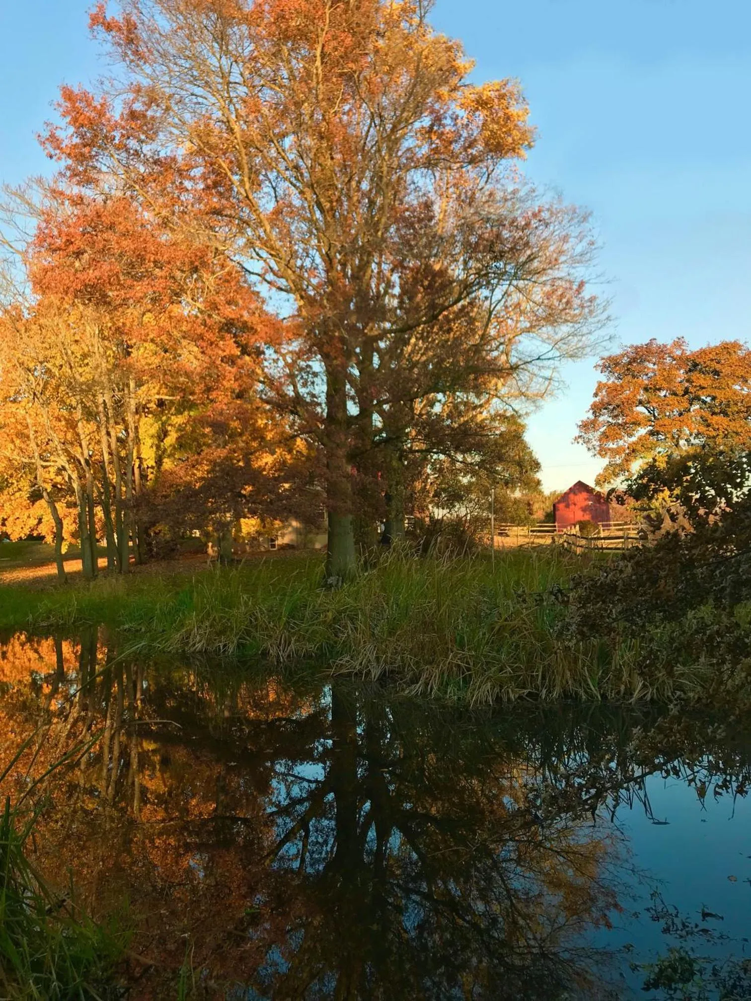 Day in Galvanized America Inn & Art Gallery