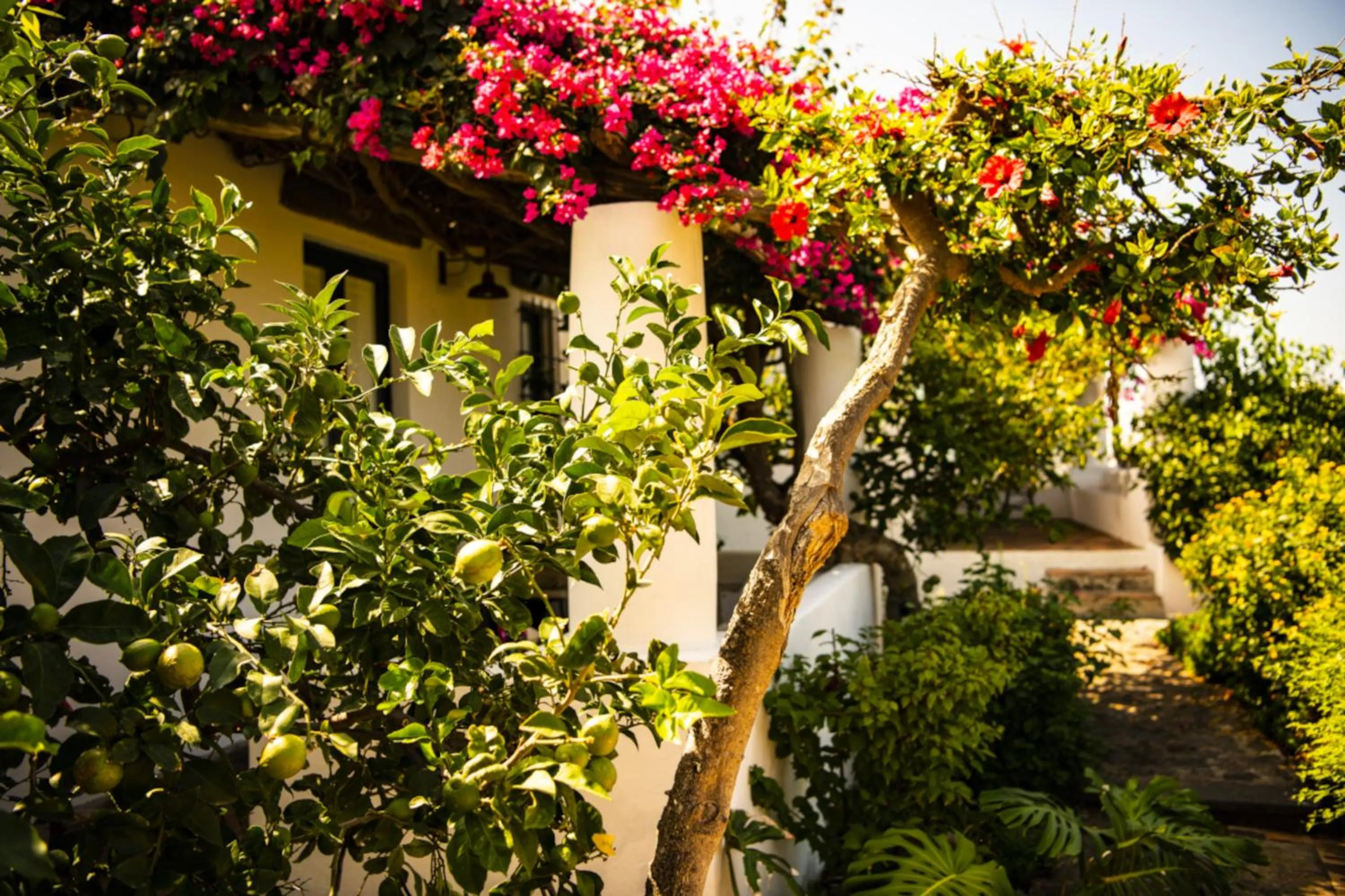 Garden view in Hotel Signum