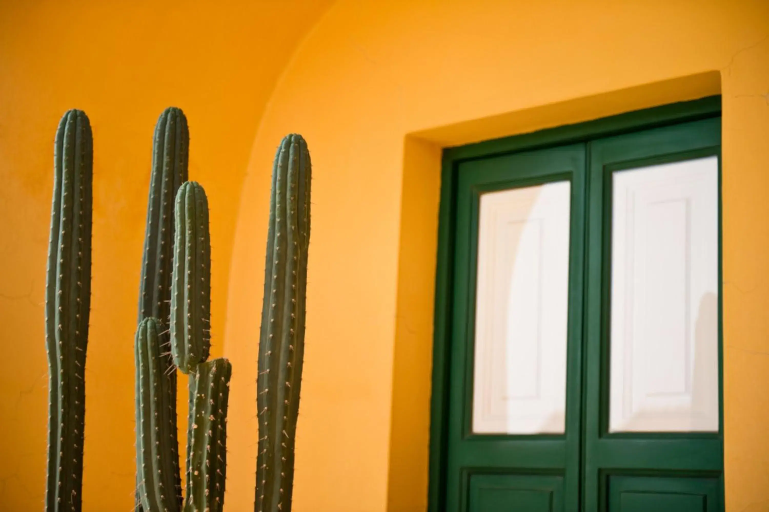 Property building in Hotel Signum Property building in Hotel Signum