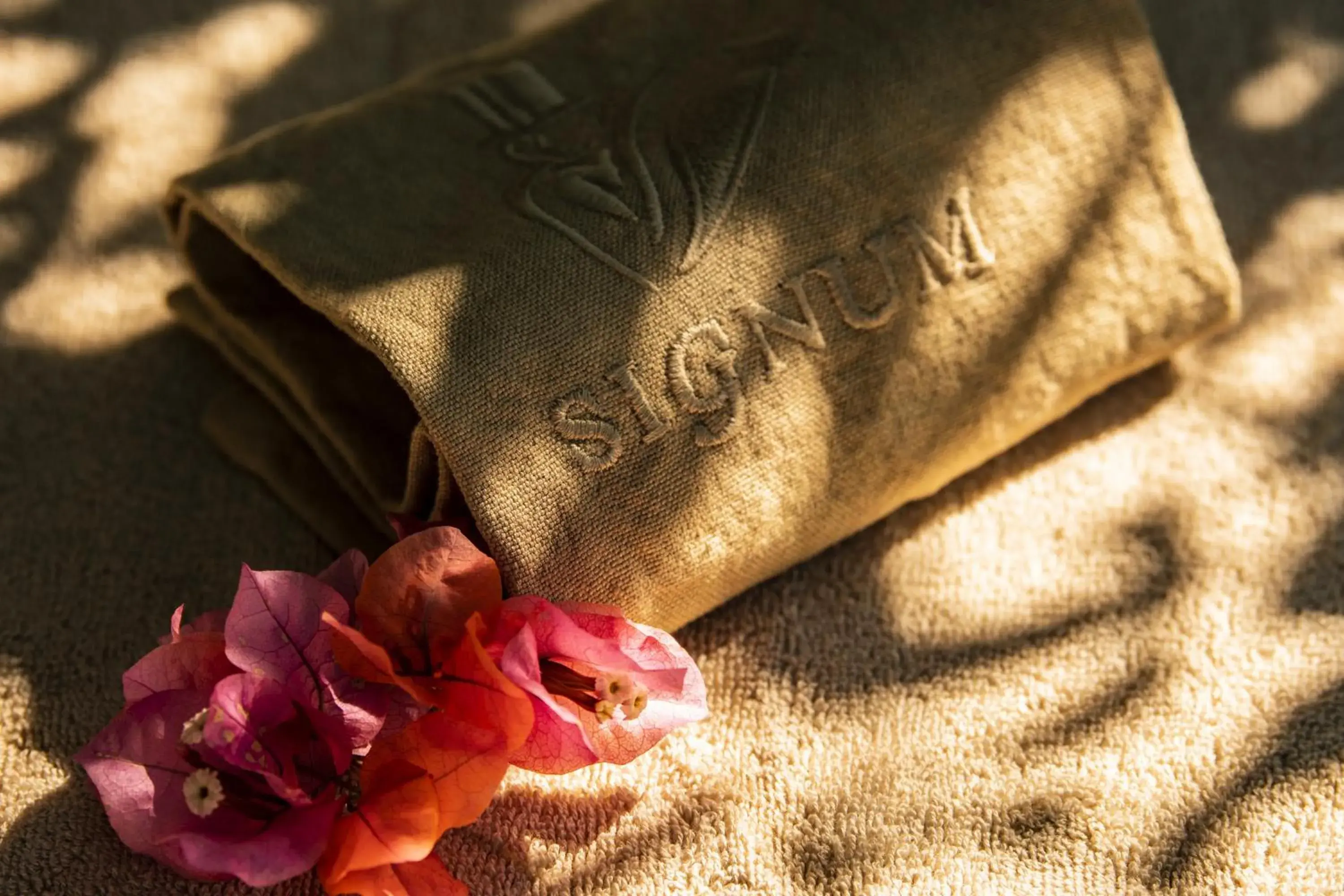 Spa and wellness centre/facilities in Hotel Signum Spa and wellness centre/facilities in Hotel Signum