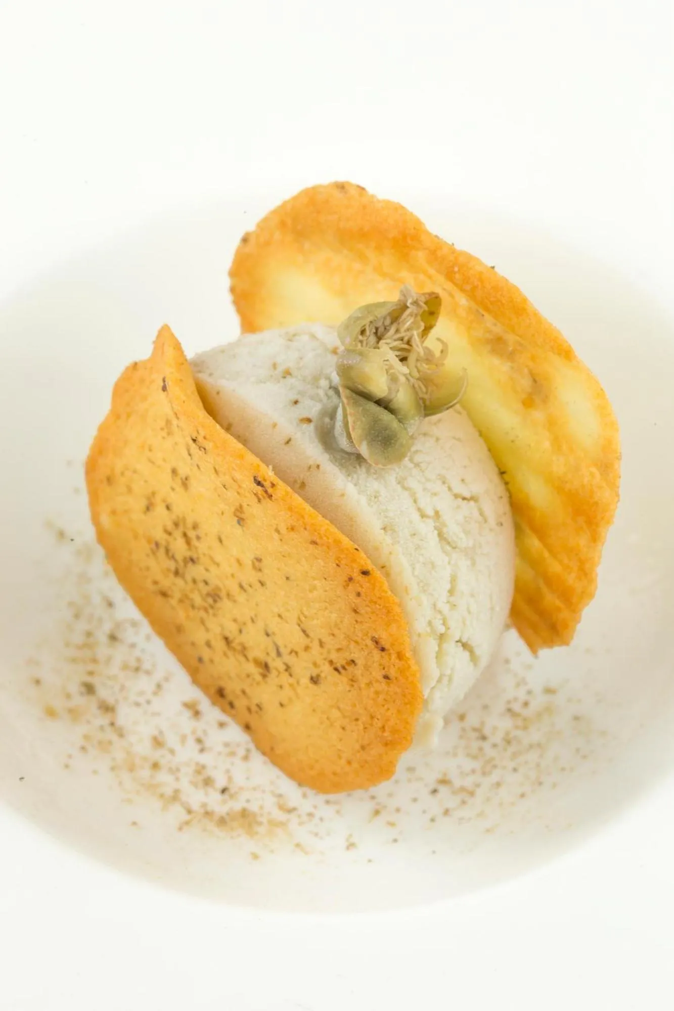 Restaurant/places to eat in Hotel Signum