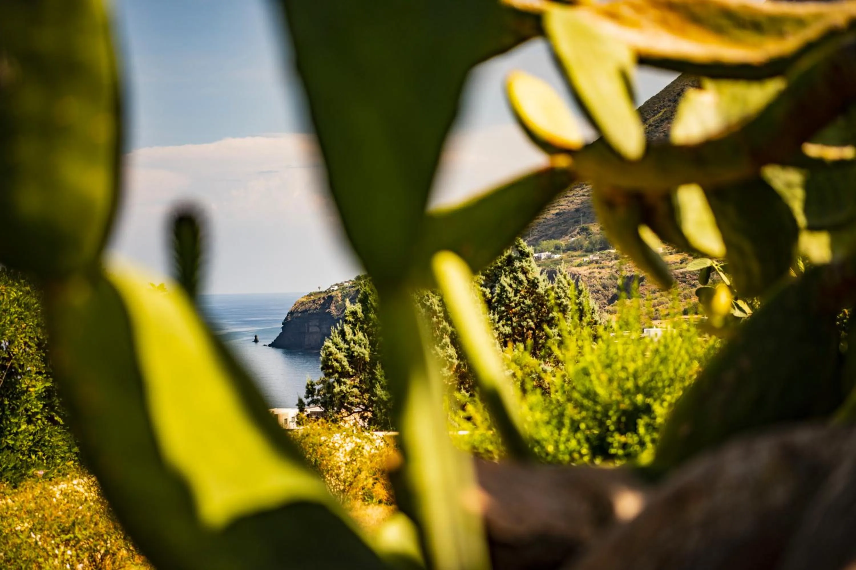 View (from property/room) in Hotel Signum