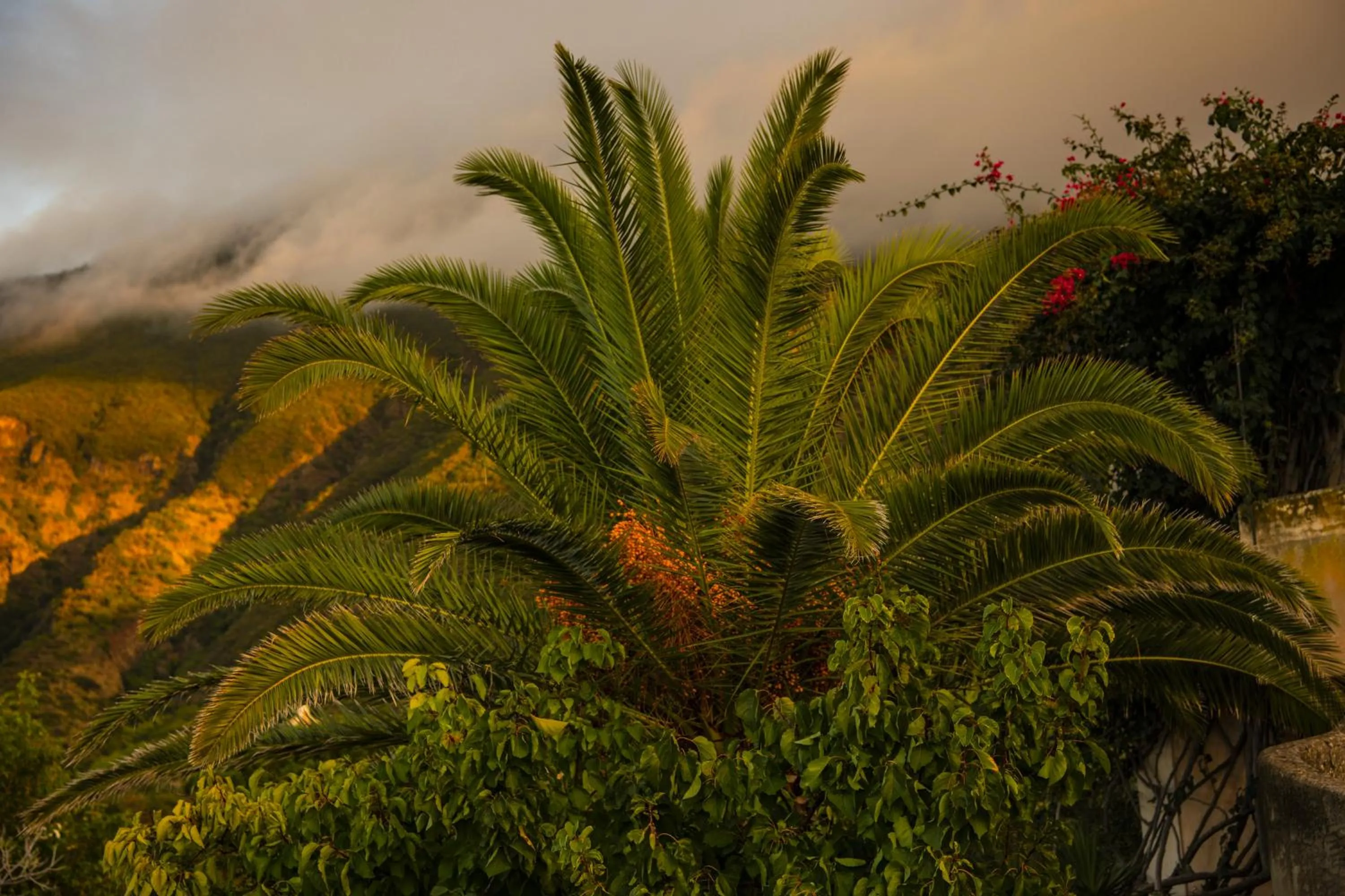 Mountain view in Hotel Signum