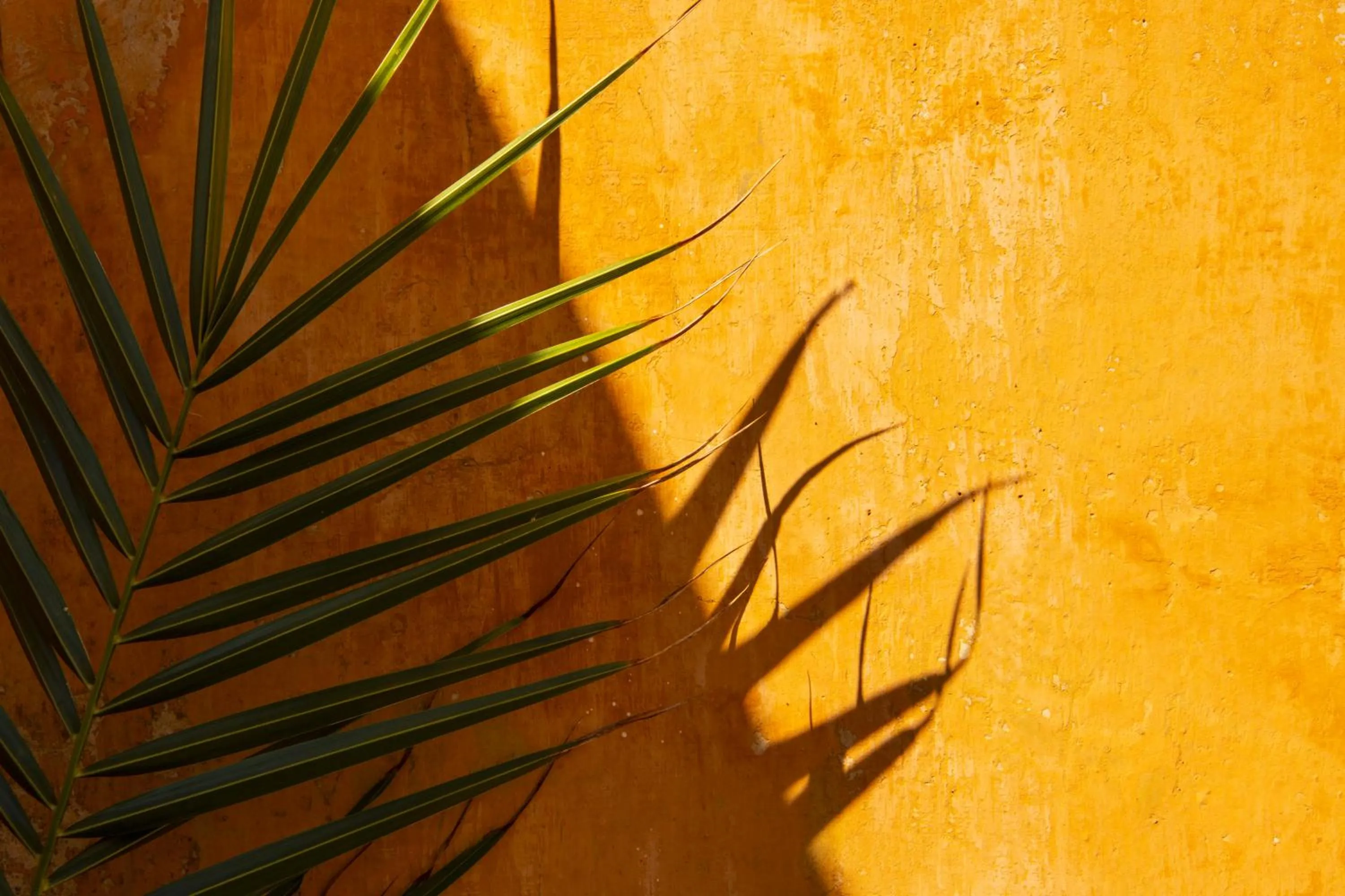 Property building in Hotel Signum