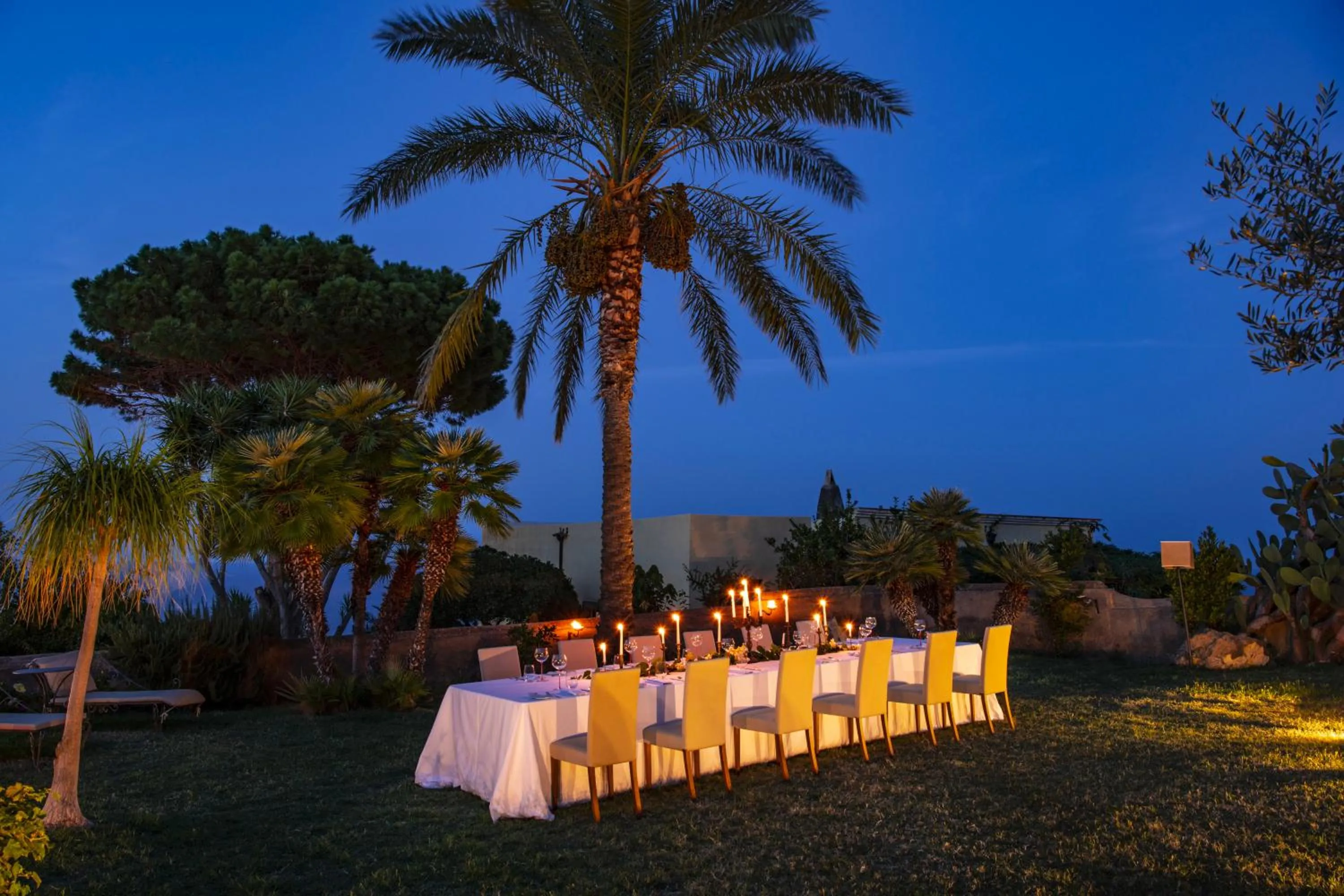 Garden in Hotel Signum