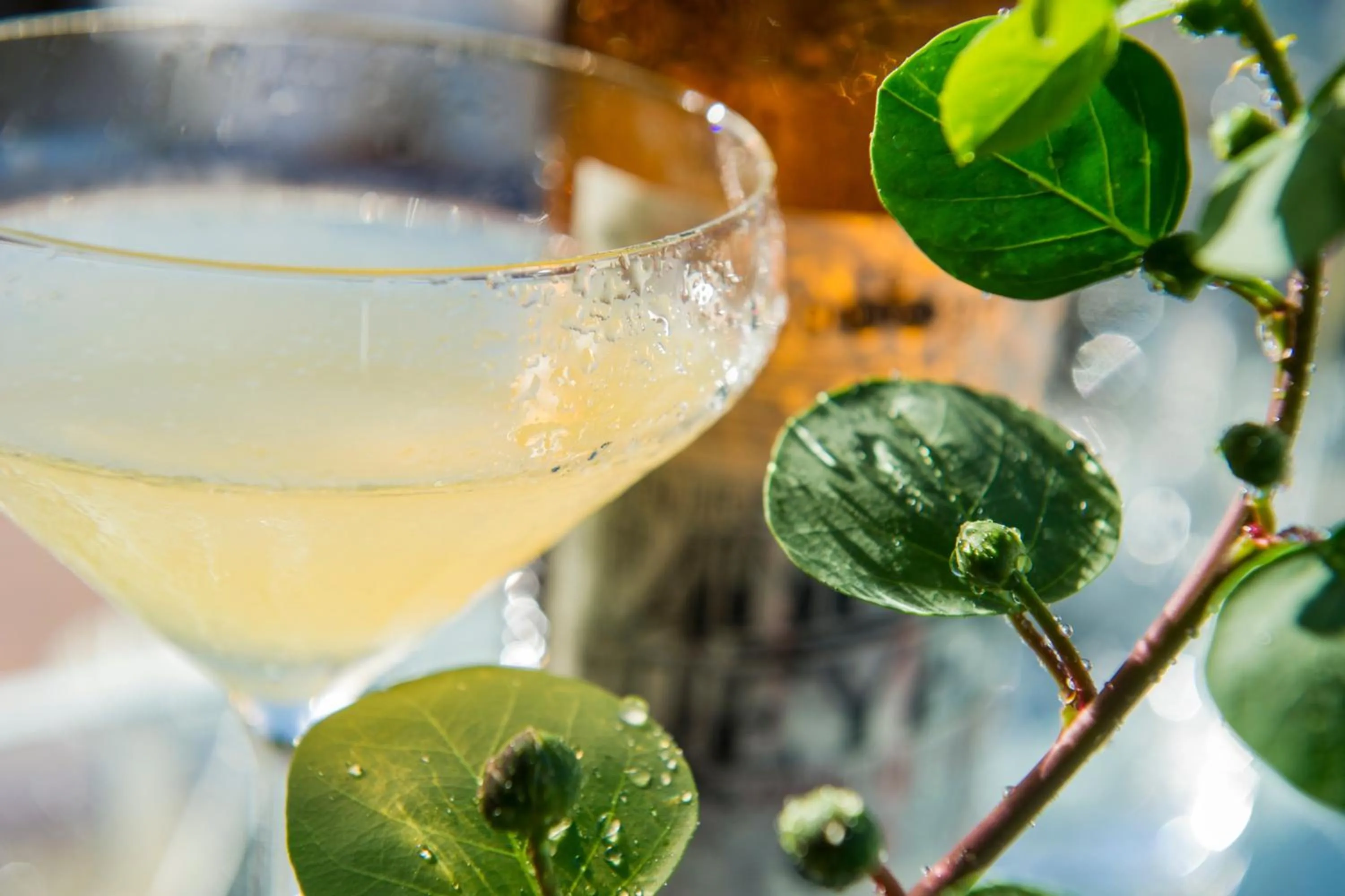 Lounge or bar in Hotel Signum