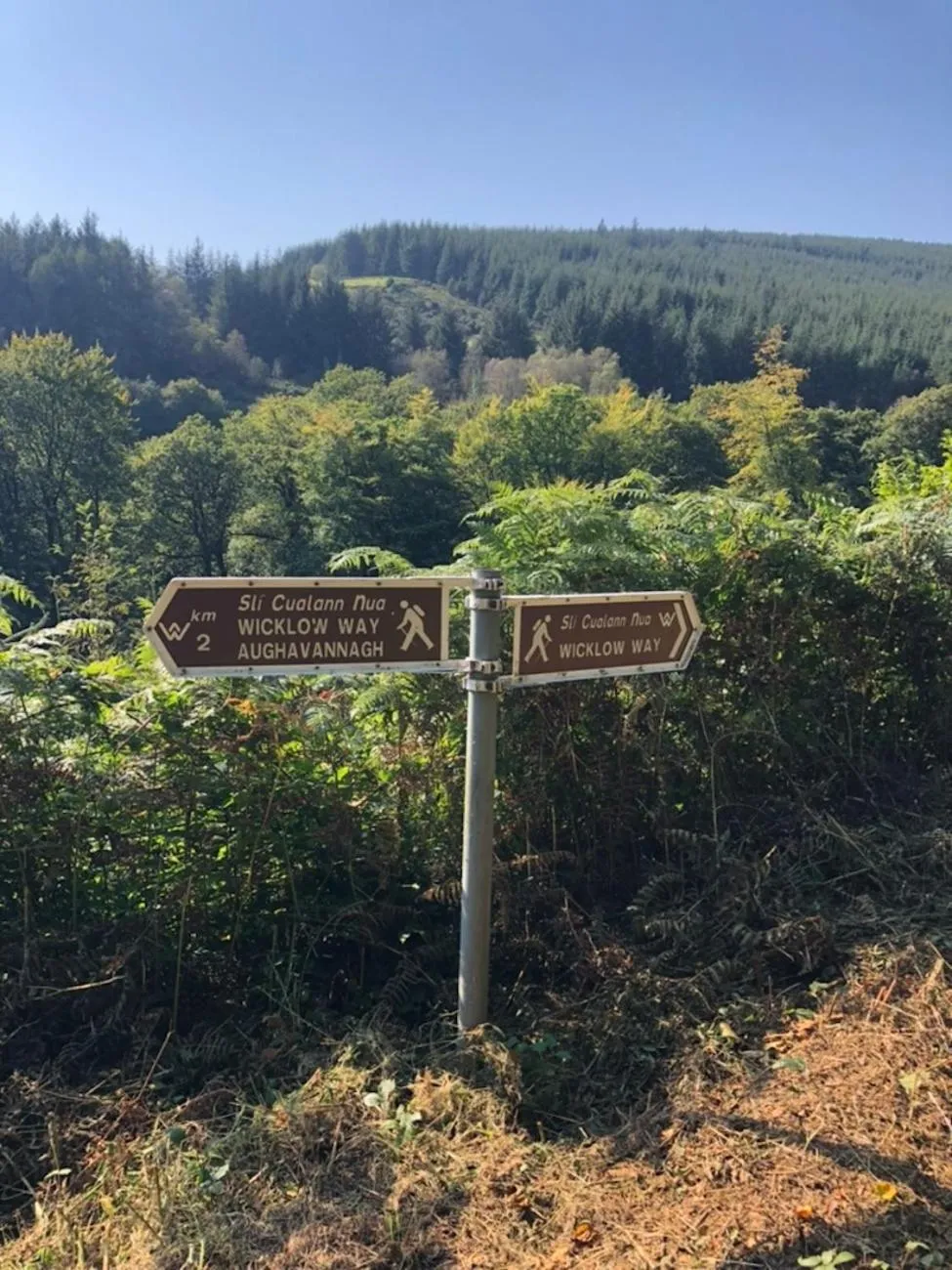 Hiking in Mon Petit Cottage - B&B and Guest House in Bunclody