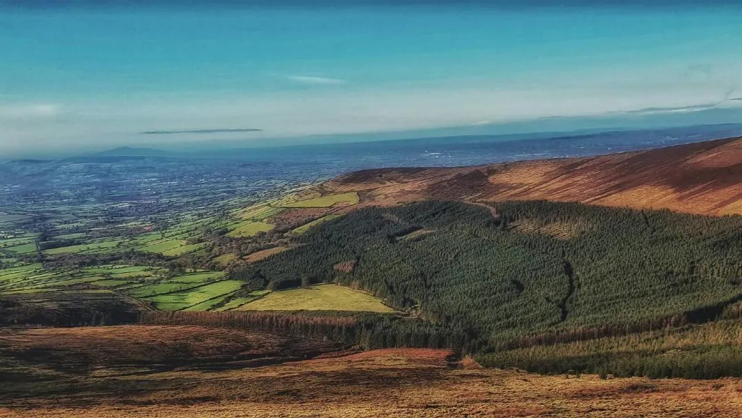 Activities in Mon Petit Cottage - B&B and Guest House in Bunclody