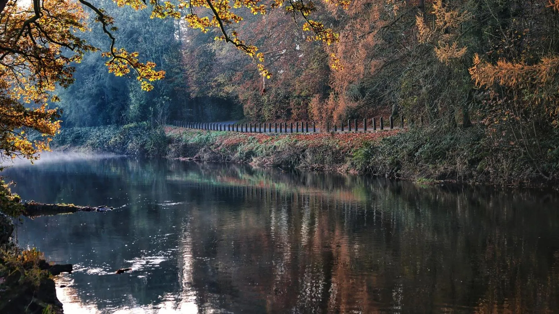 Activities in Mon Petit Cottage - B&B and Guest House in Bunclody