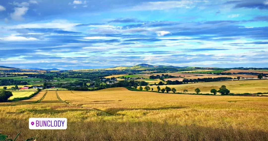 Activities in Mon Petit Cottage - B&B and Guest House in Bunclody