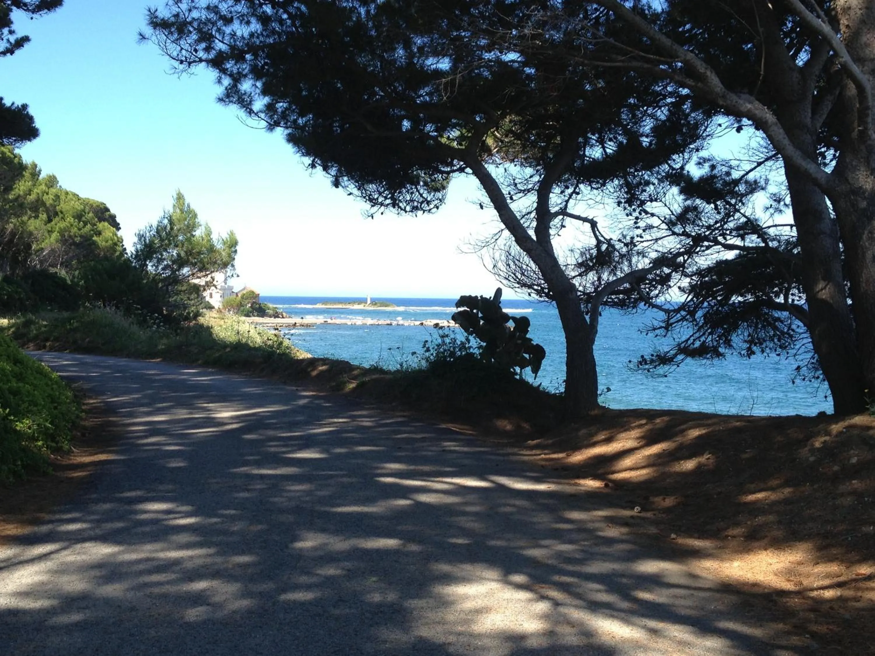 Area and facilities in Hotel Mareluna