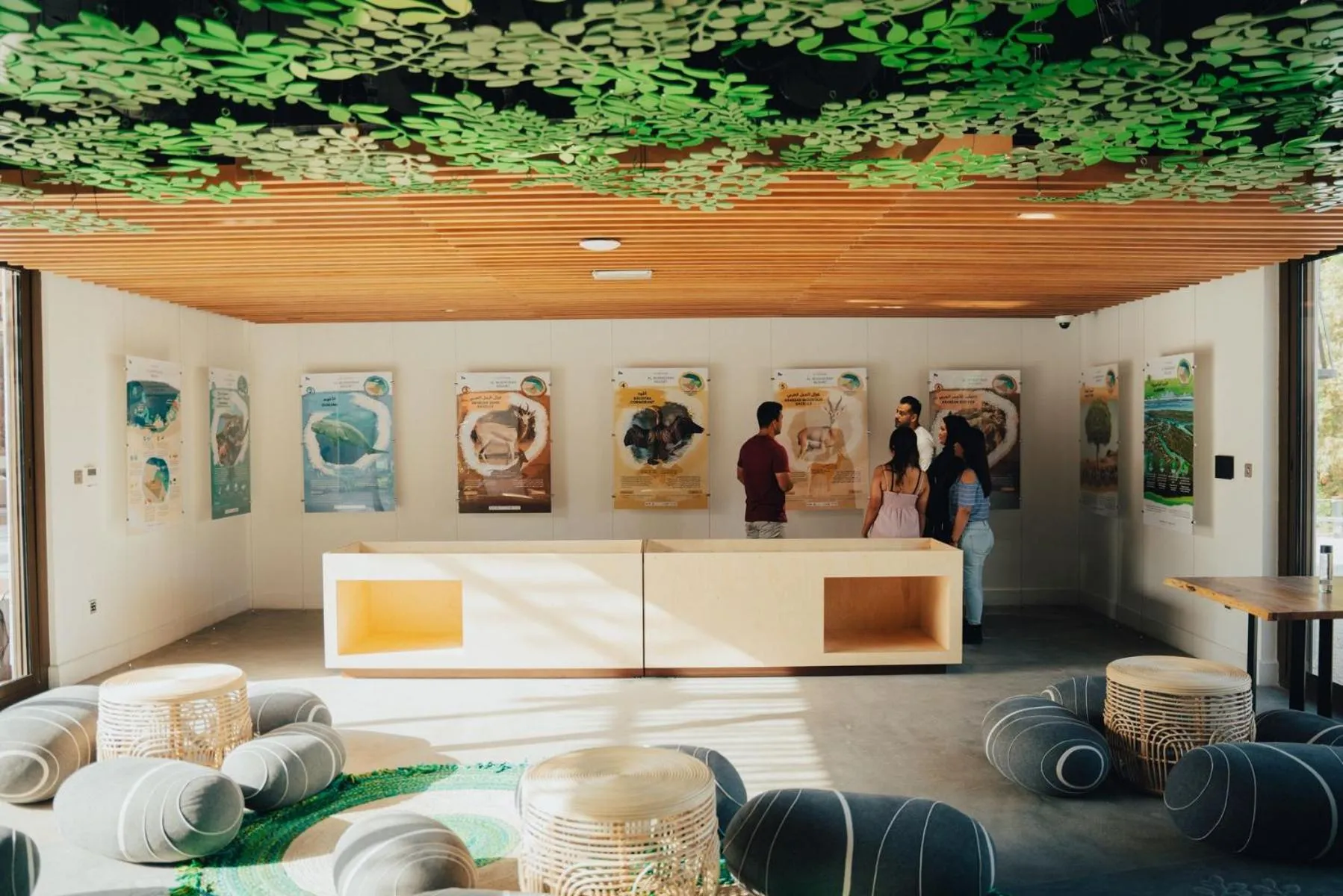 Activities in Bab Al Nojoum Al Mugheirah