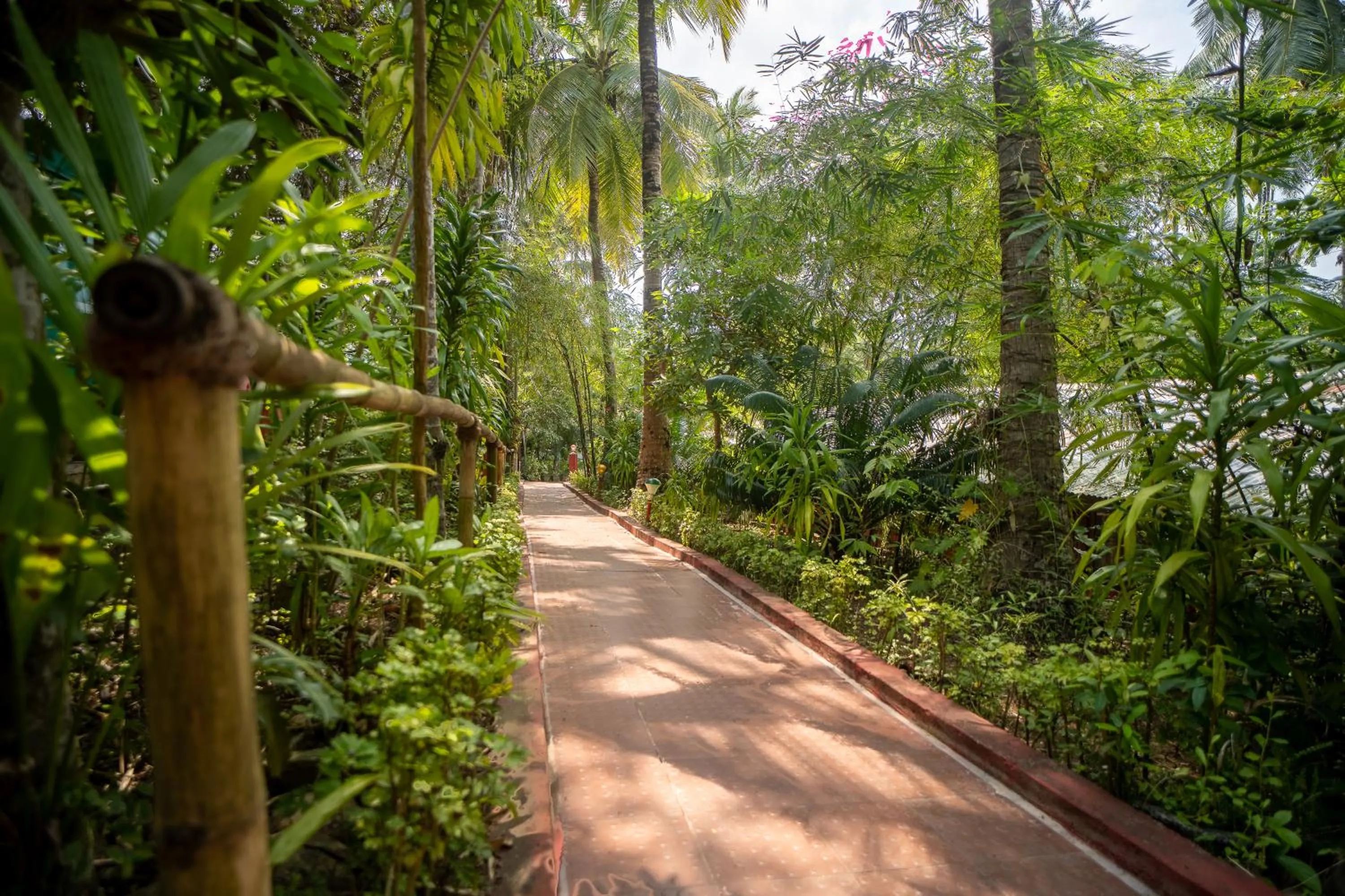 Garden in Palm Grove Eco Resort
