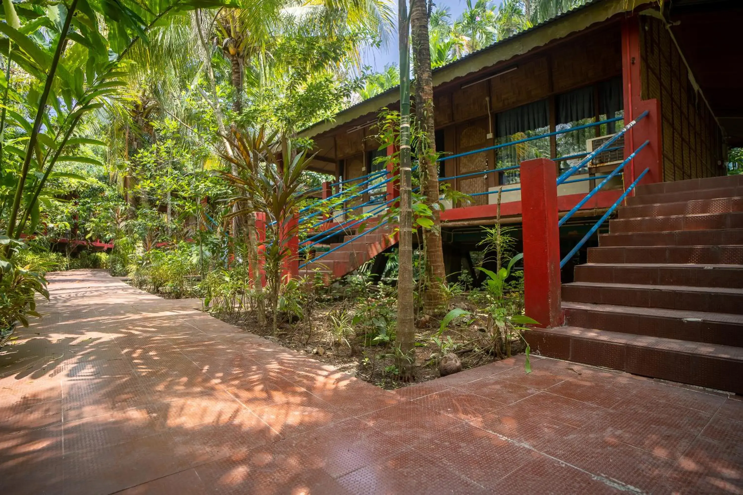 Garden view in Palm Grove Eco Resort Garden view in Palm Grove Eco Resort