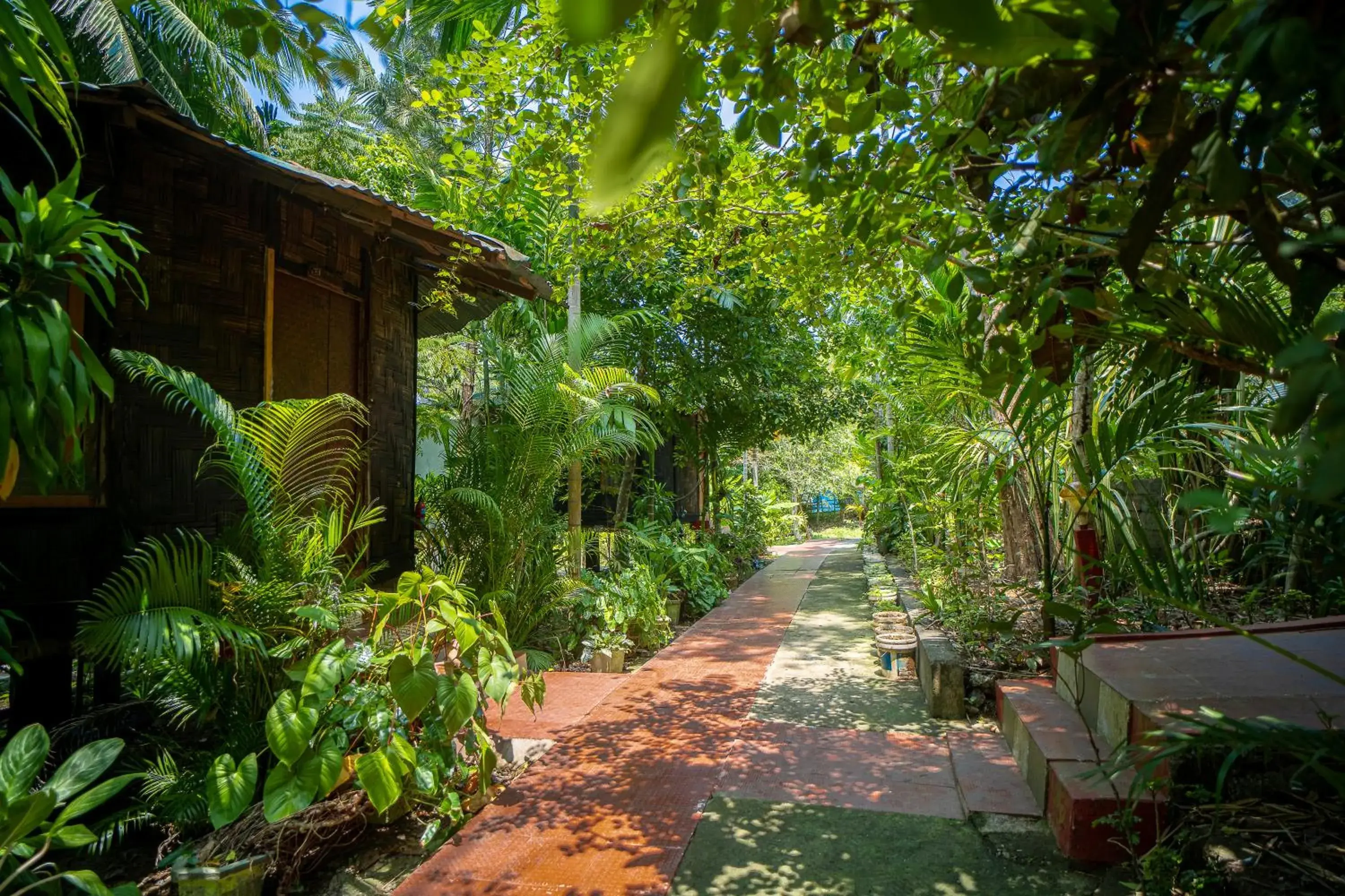 Garden view in Palm Grove Eco Resort Garden view in Palm Grove Eco Resort