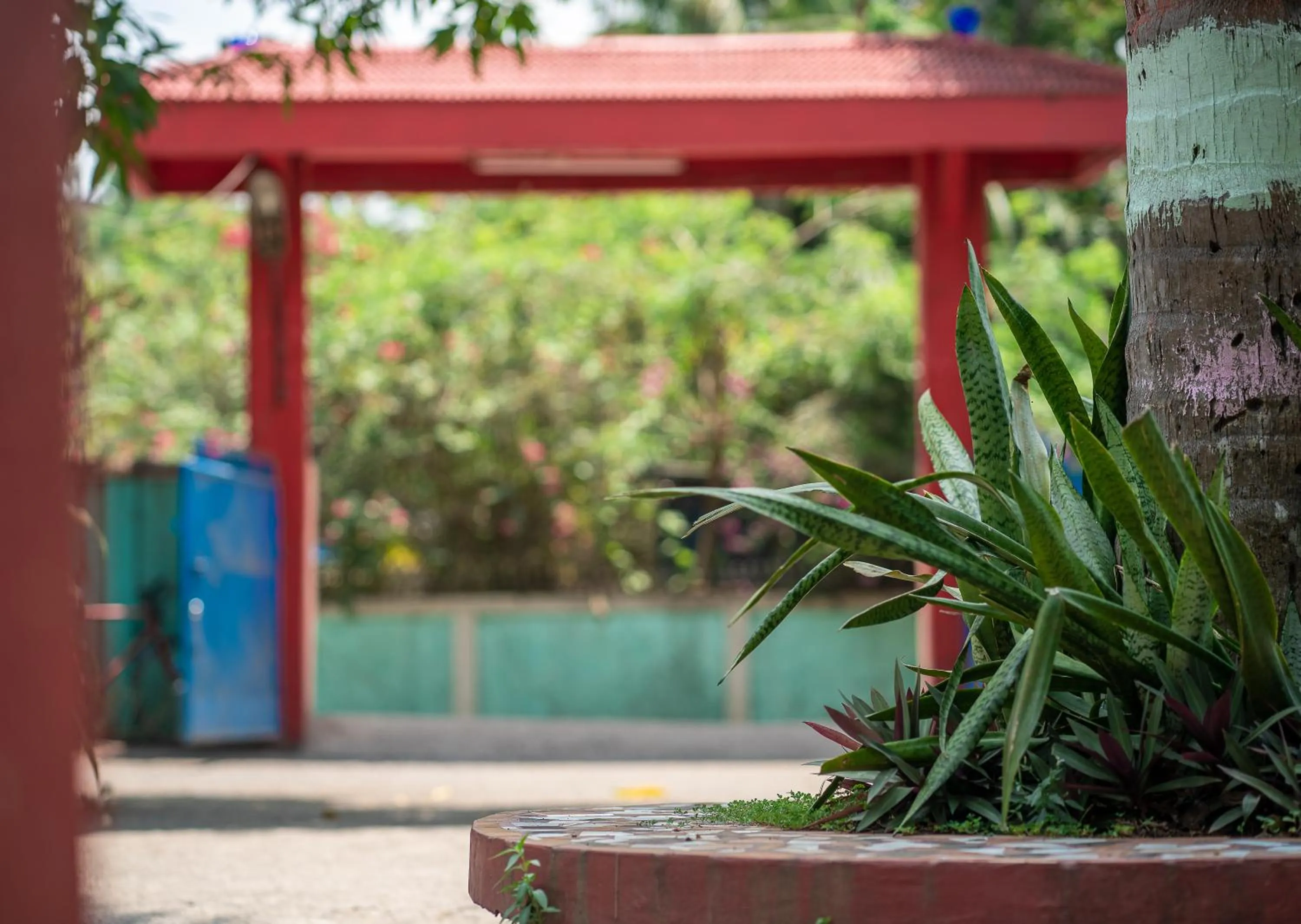 Garden in Palm Grove Eco Resort