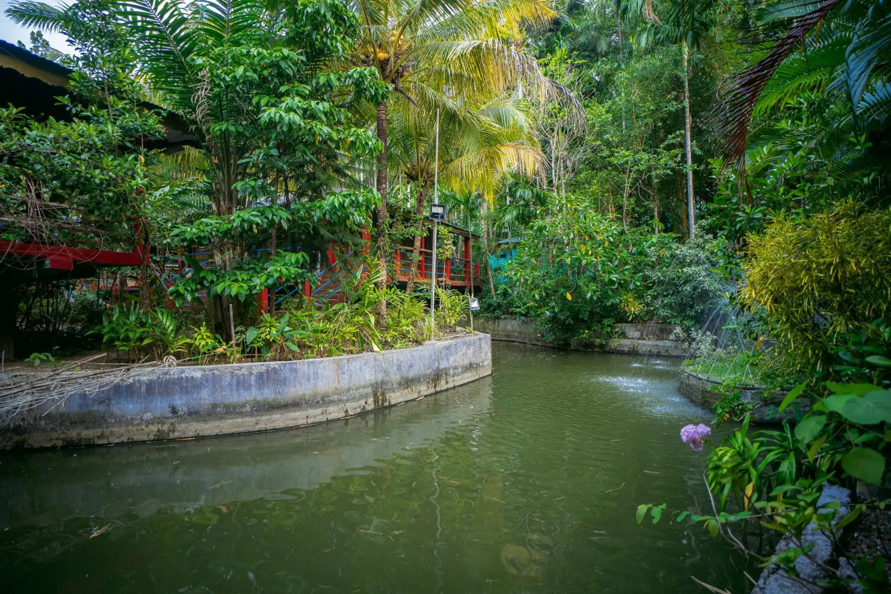 Lake view in Palm Grove Eco Resort Lake view in Palm Grove Eco Resort