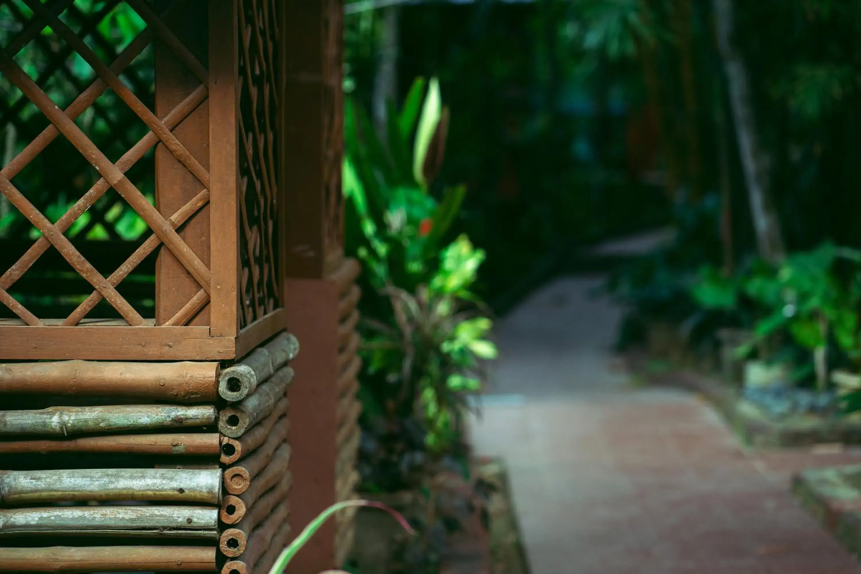Facade/entrance in Palm Grove Eco Resort Facade/entrance in Palm Grove Eco Resort