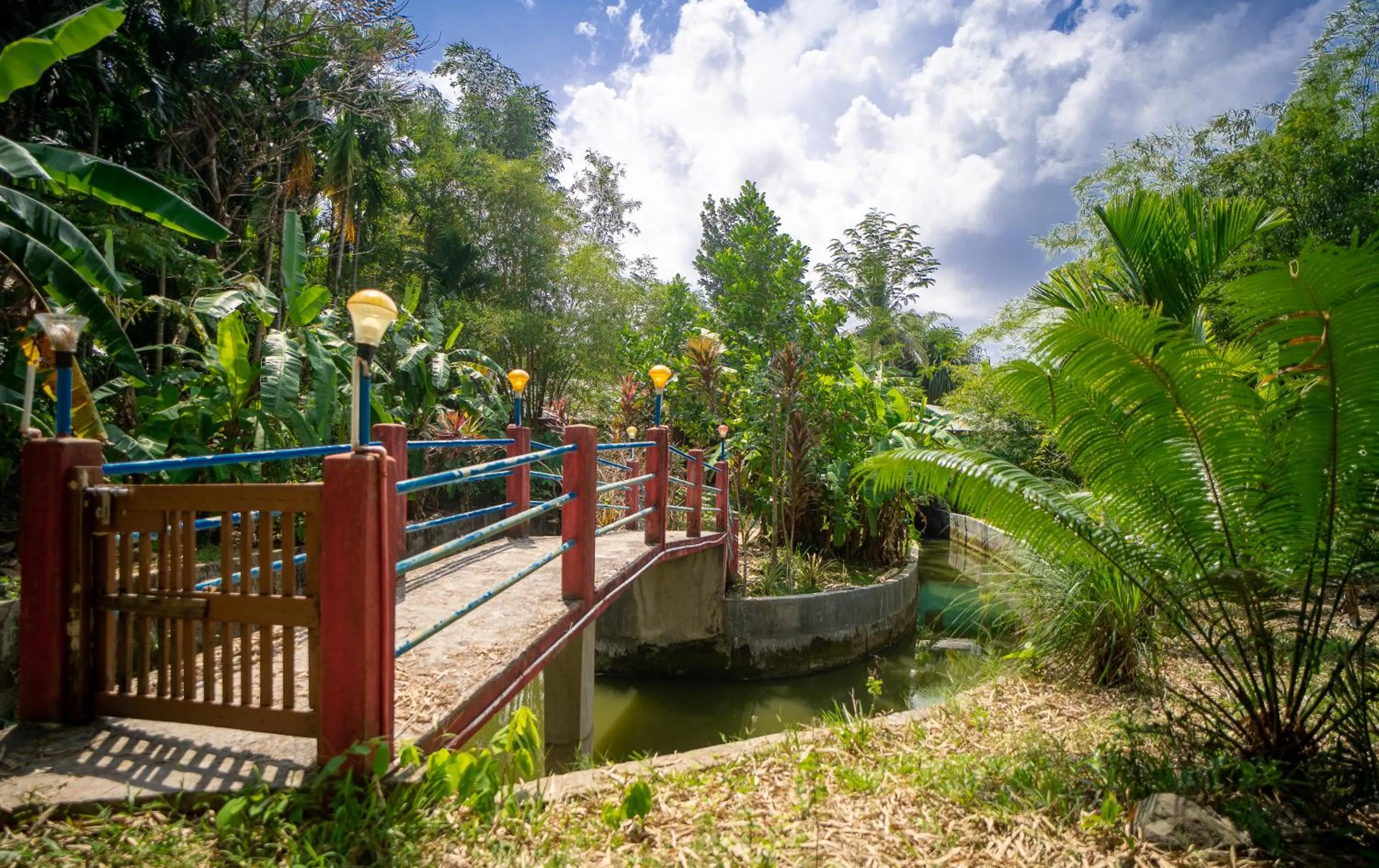 Garden in Palm Grove Eco Resort