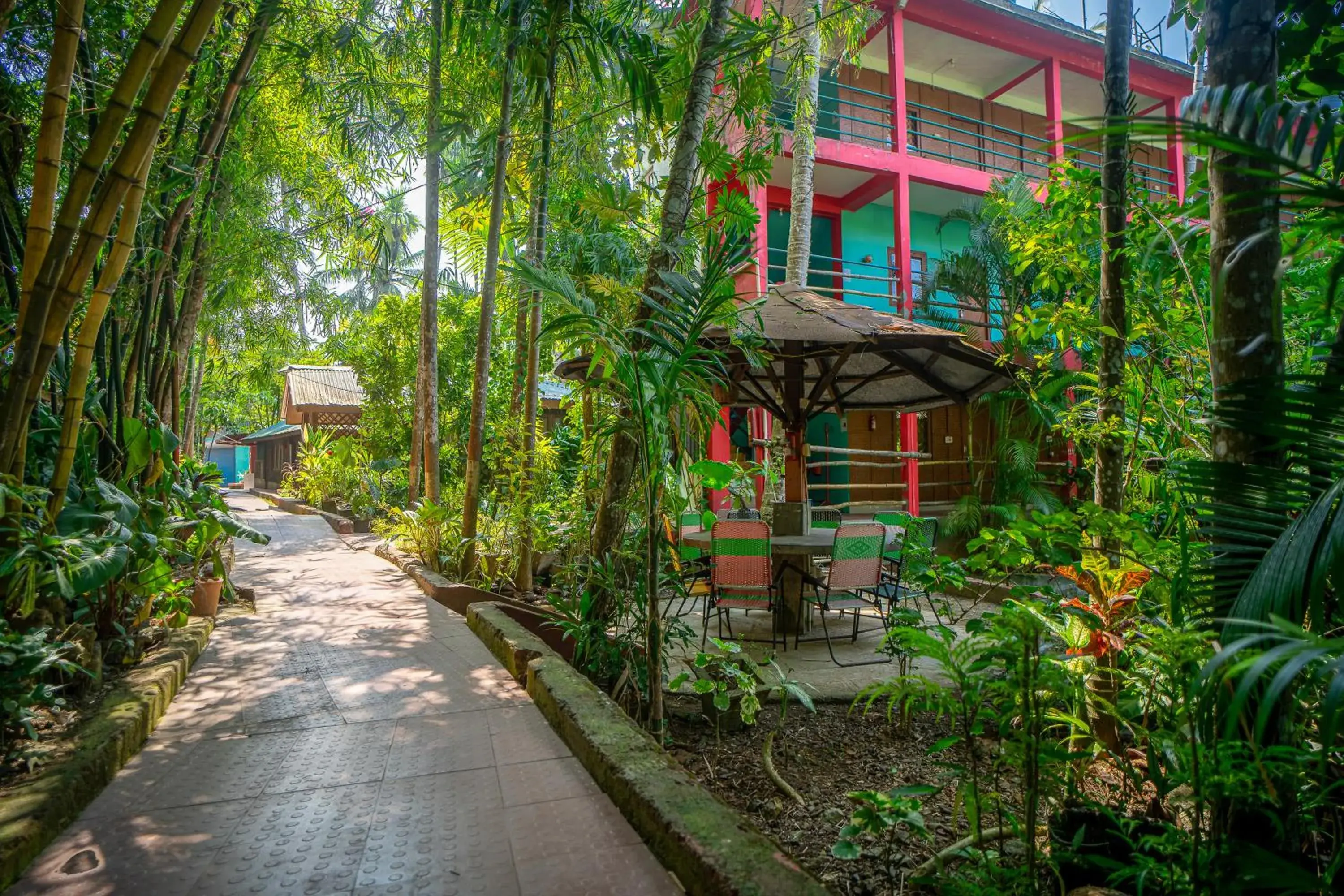 Garden view in Palm Grove Eco Resort Garden view in Palm Grove Eco Resort
