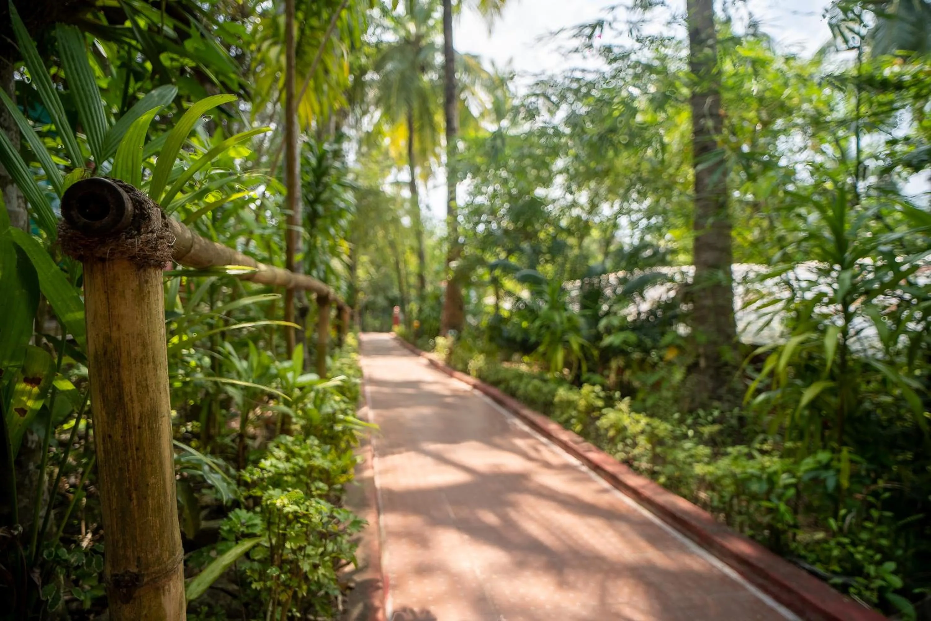 Balcony/Terrace in Palm Grove Eco Resort