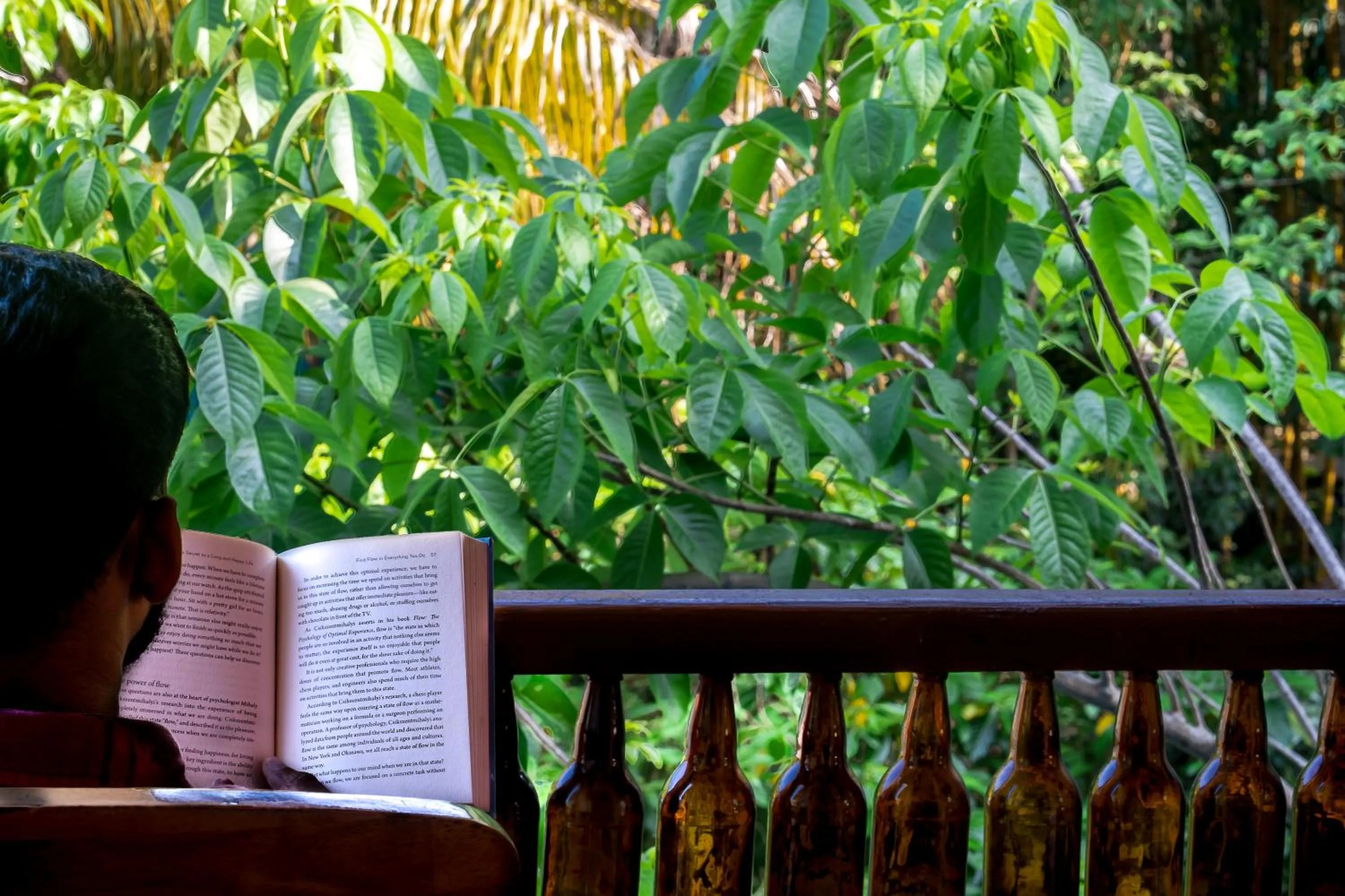 Balcony/Terrace in Palm Grove Eco Resort