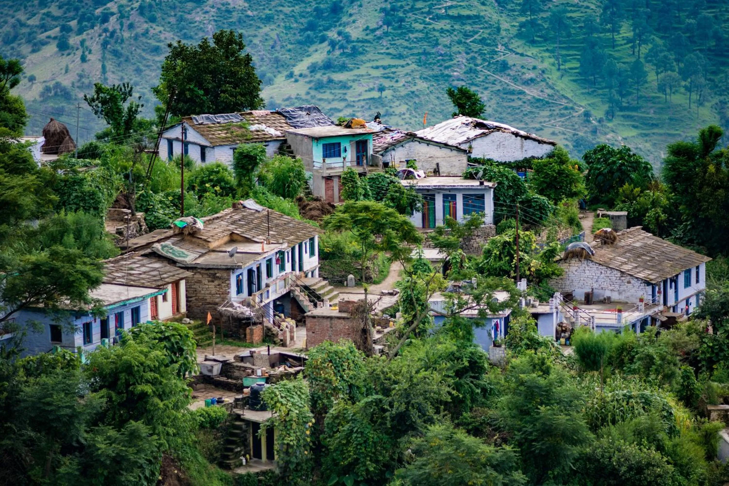 Natural landscape in Binsar Eco Resort, Binsar - Uttarakhand