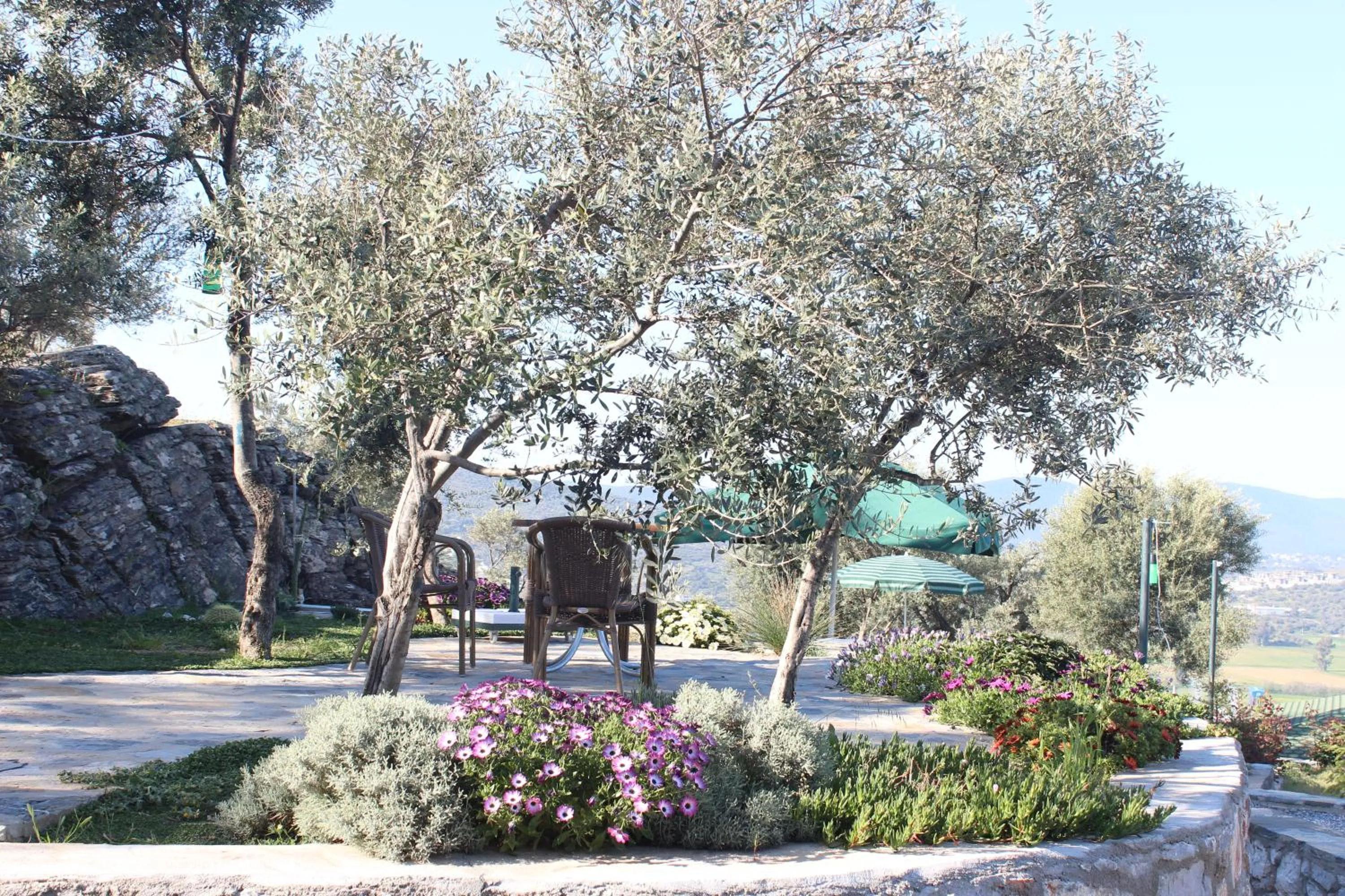 Restaurant/places to eat in Olive Garden Retreat