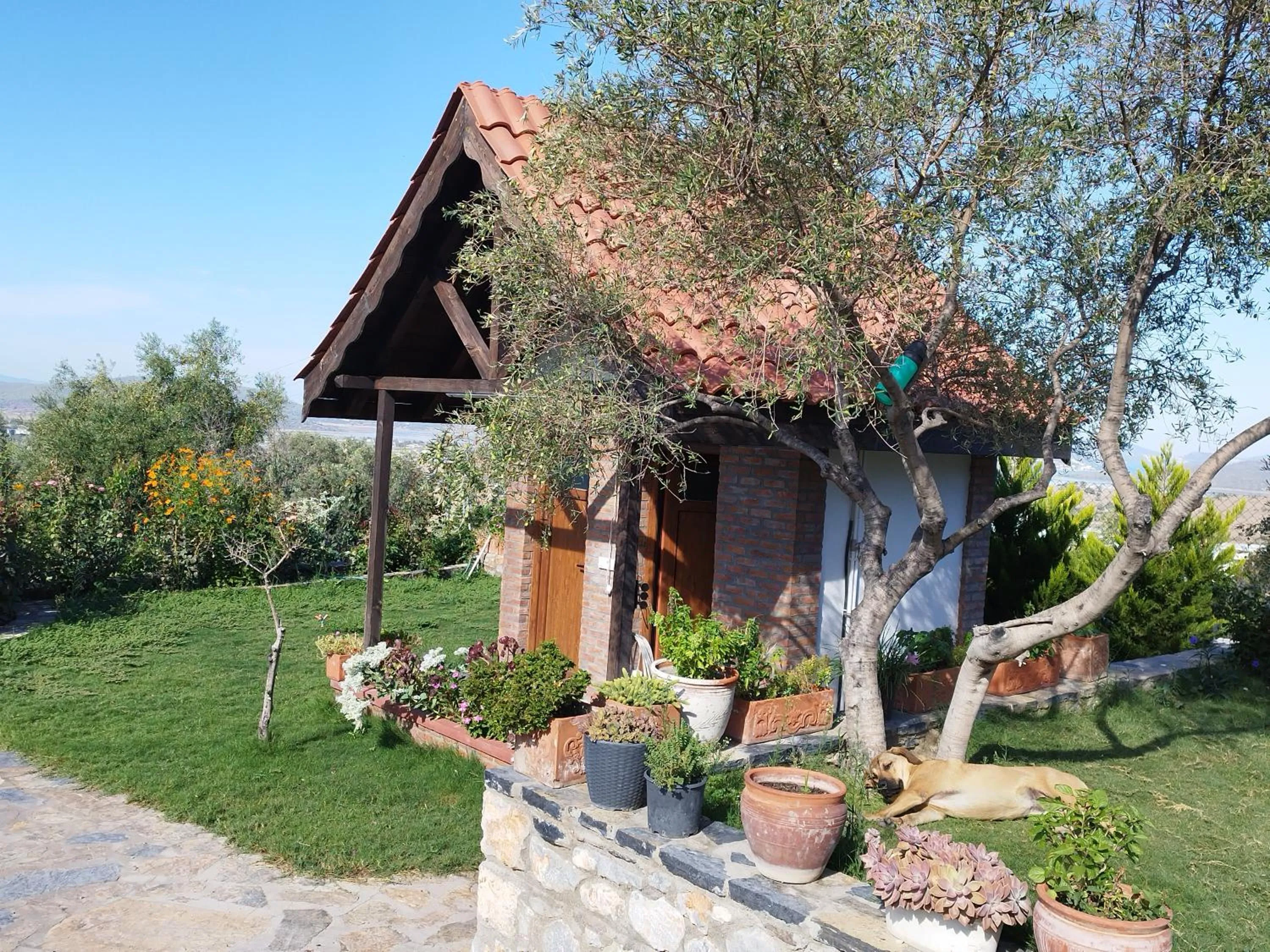 Olive Garden Retreat