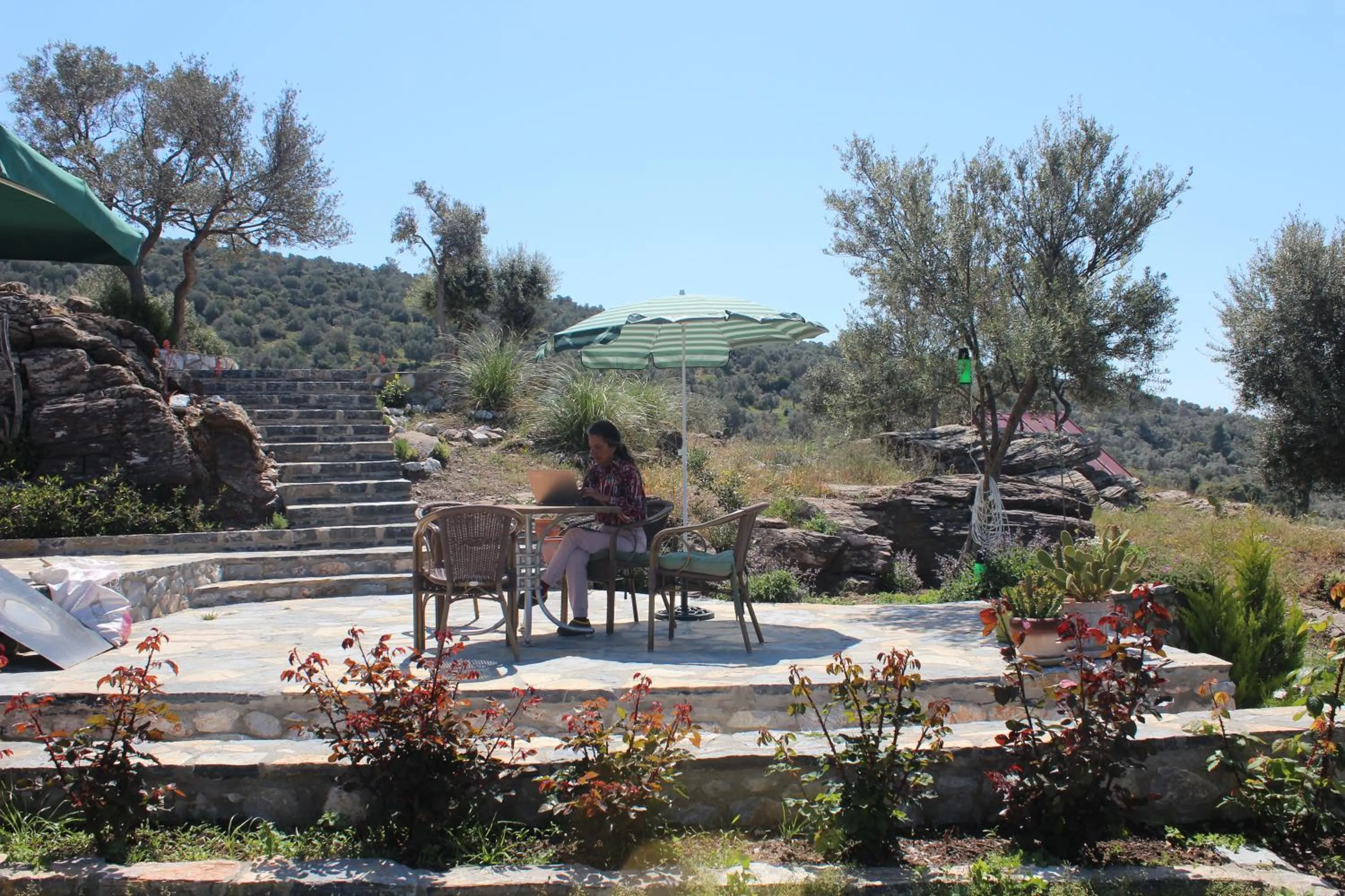 Restaurant/places to eat in Olive Garden Retreat