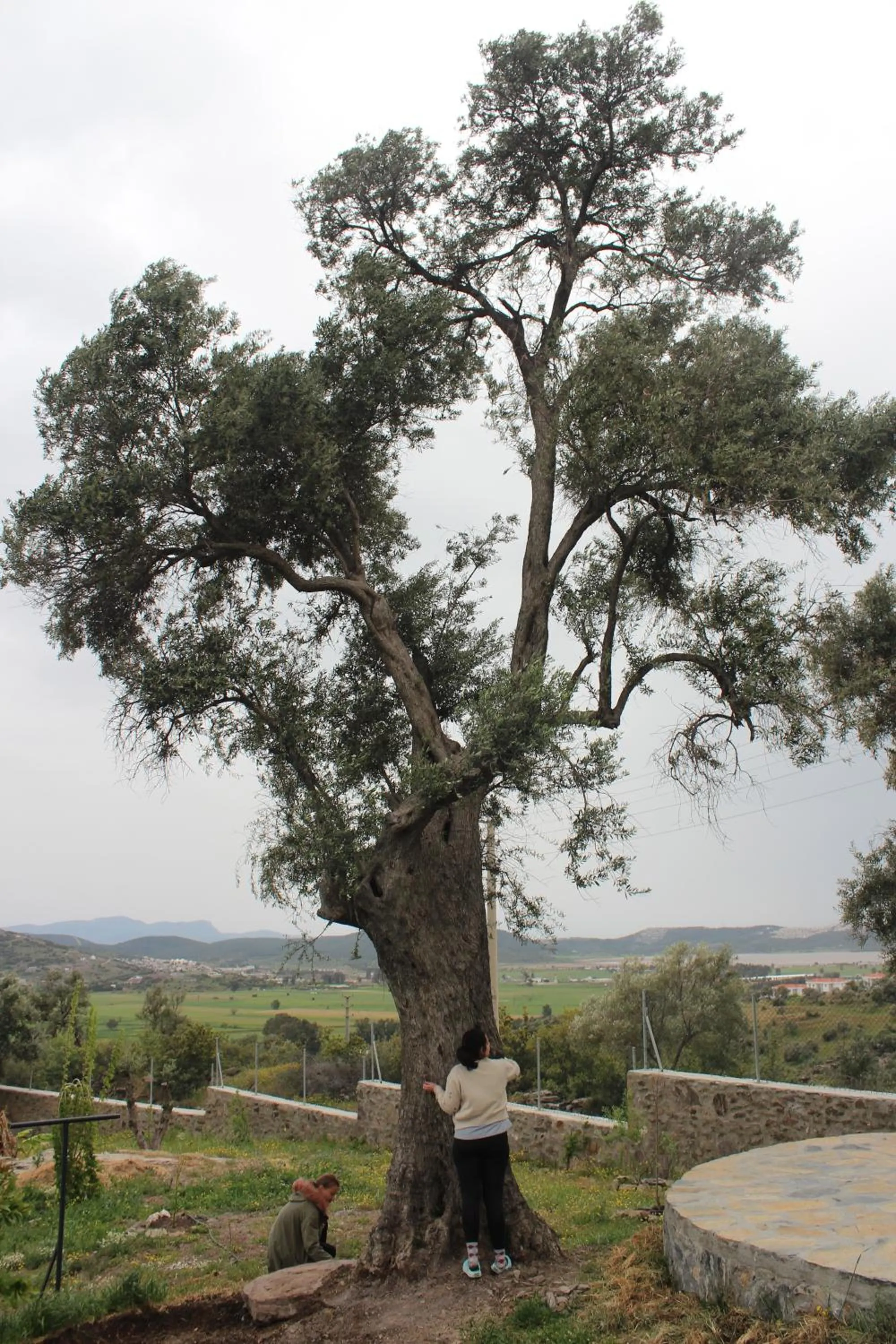 Olive Garden Retreat