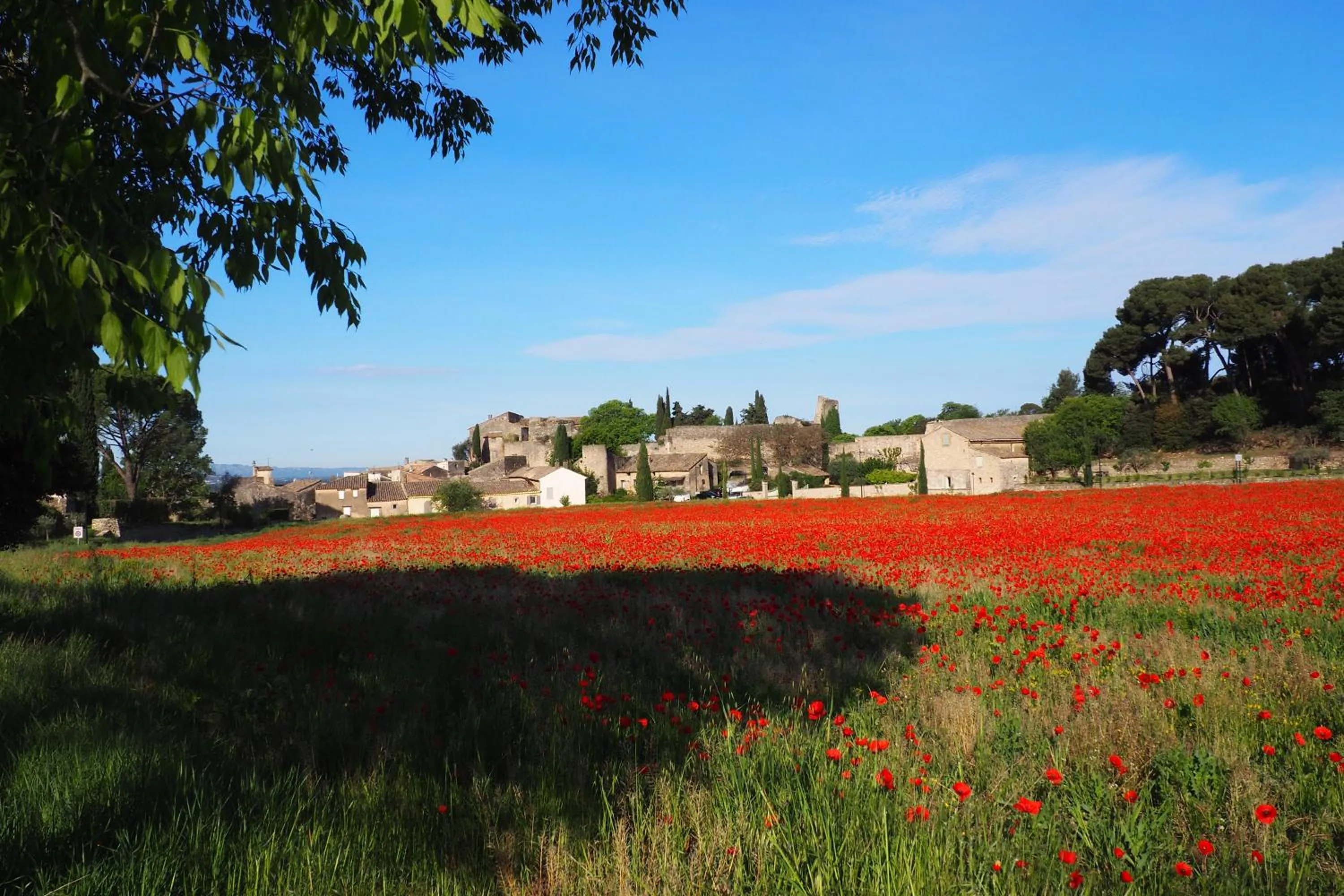Neighbourhood in Chambres d'Hôtes Le relais des marmottes en Luberon