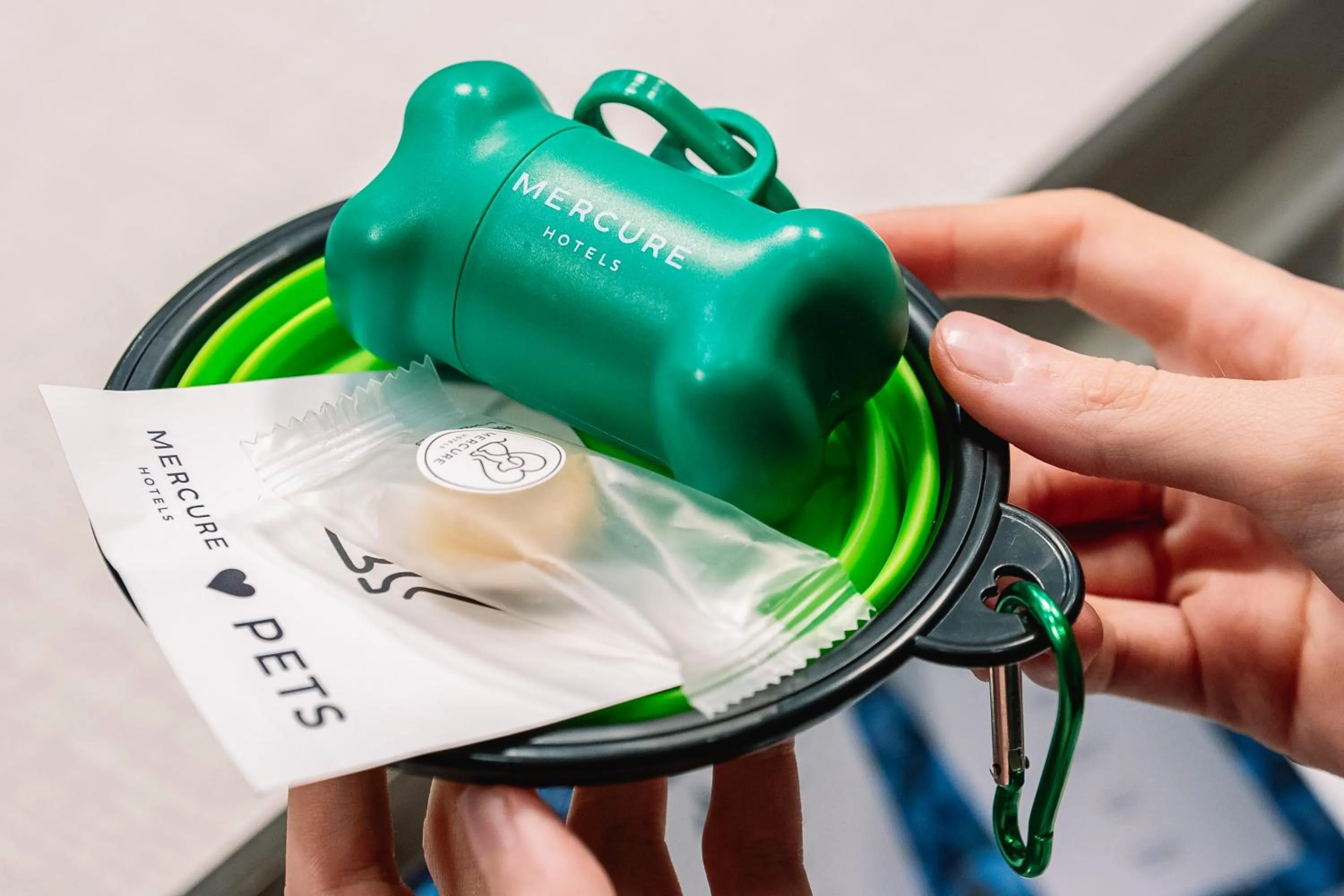 Animals in Mercure Roma Piazza Bologna