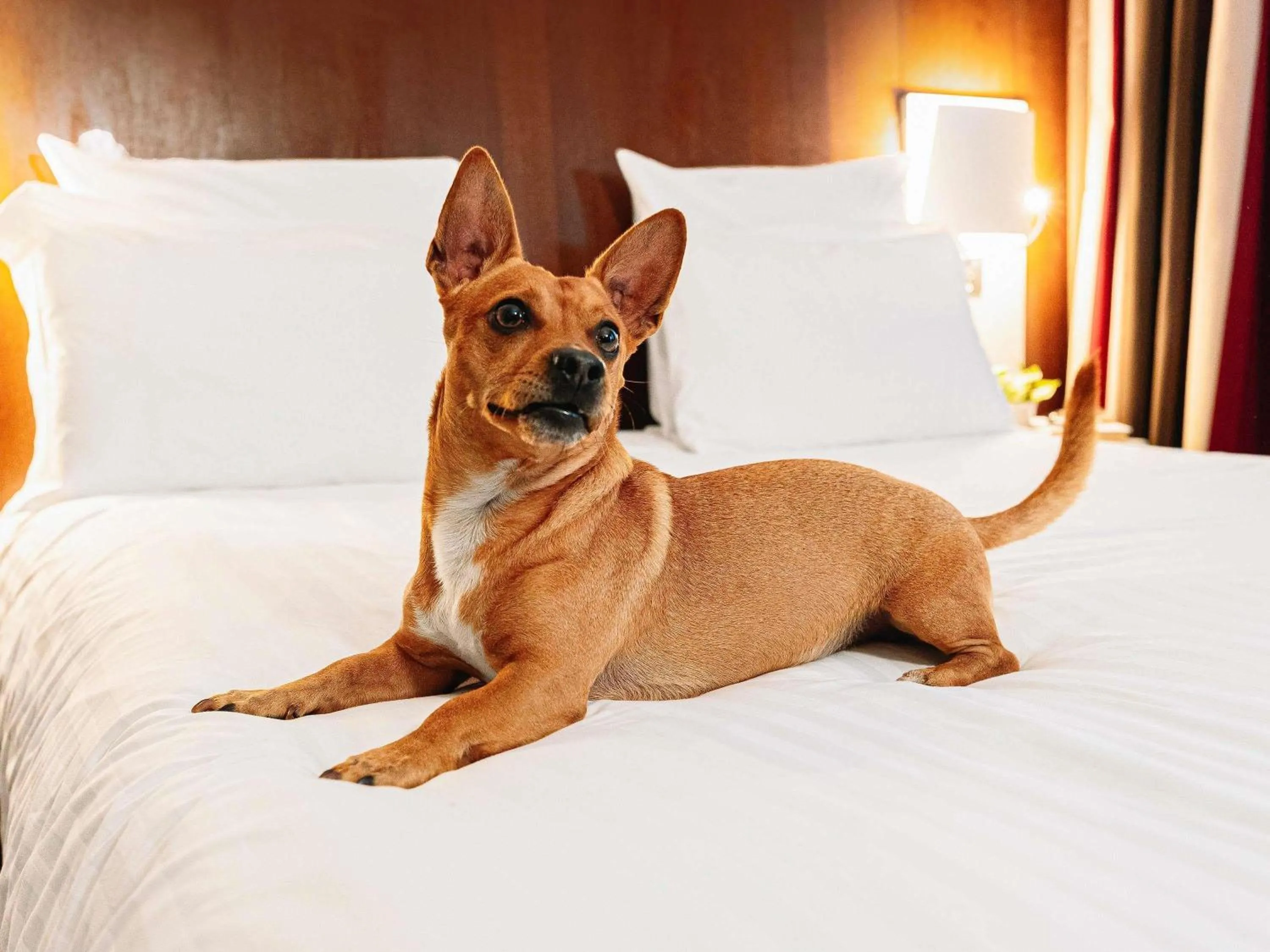 Bedroom in Mercure Roma Piazza Bologna