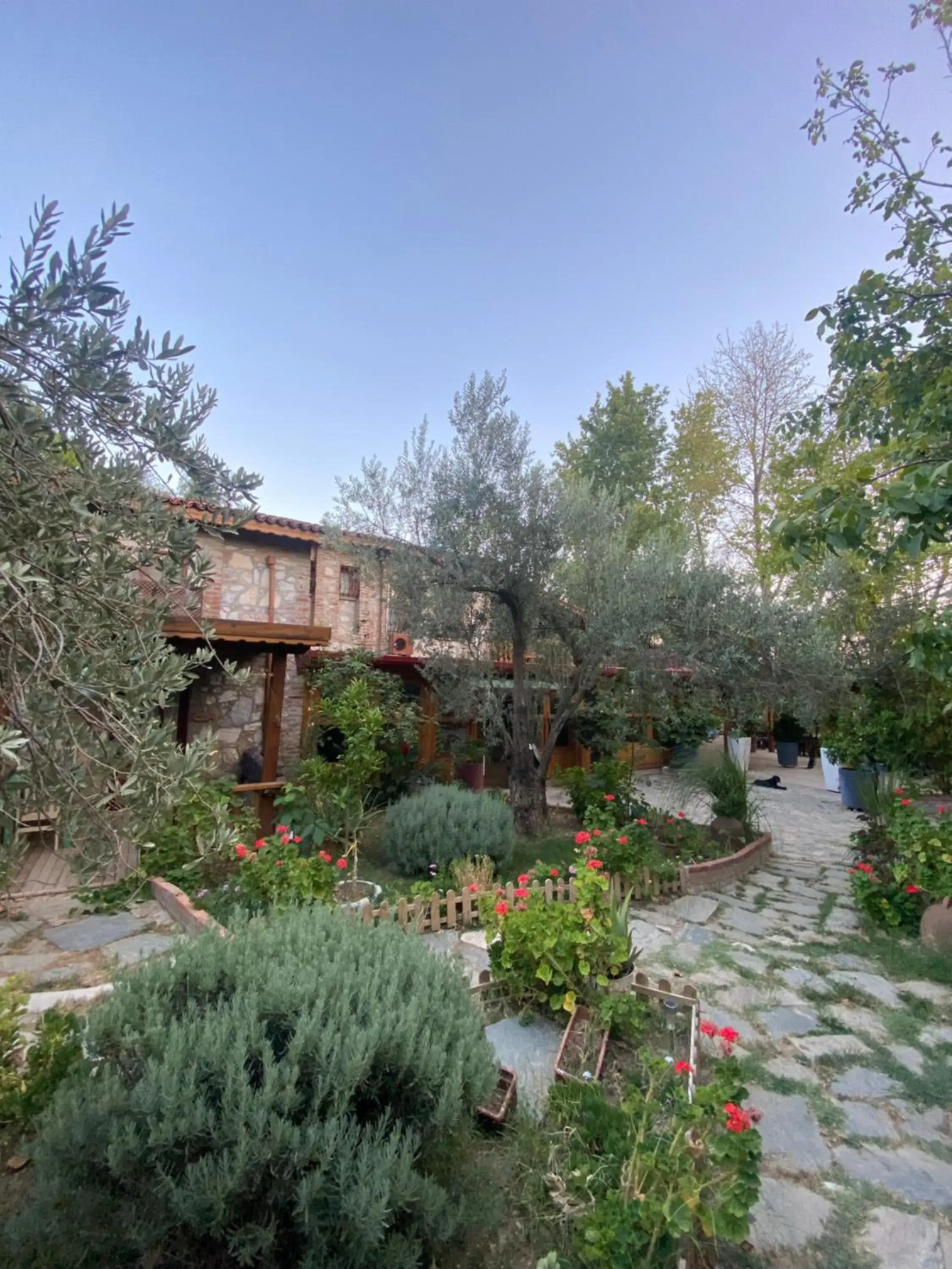 Pavelin Yeri Otel Pavelin Yeri Otel