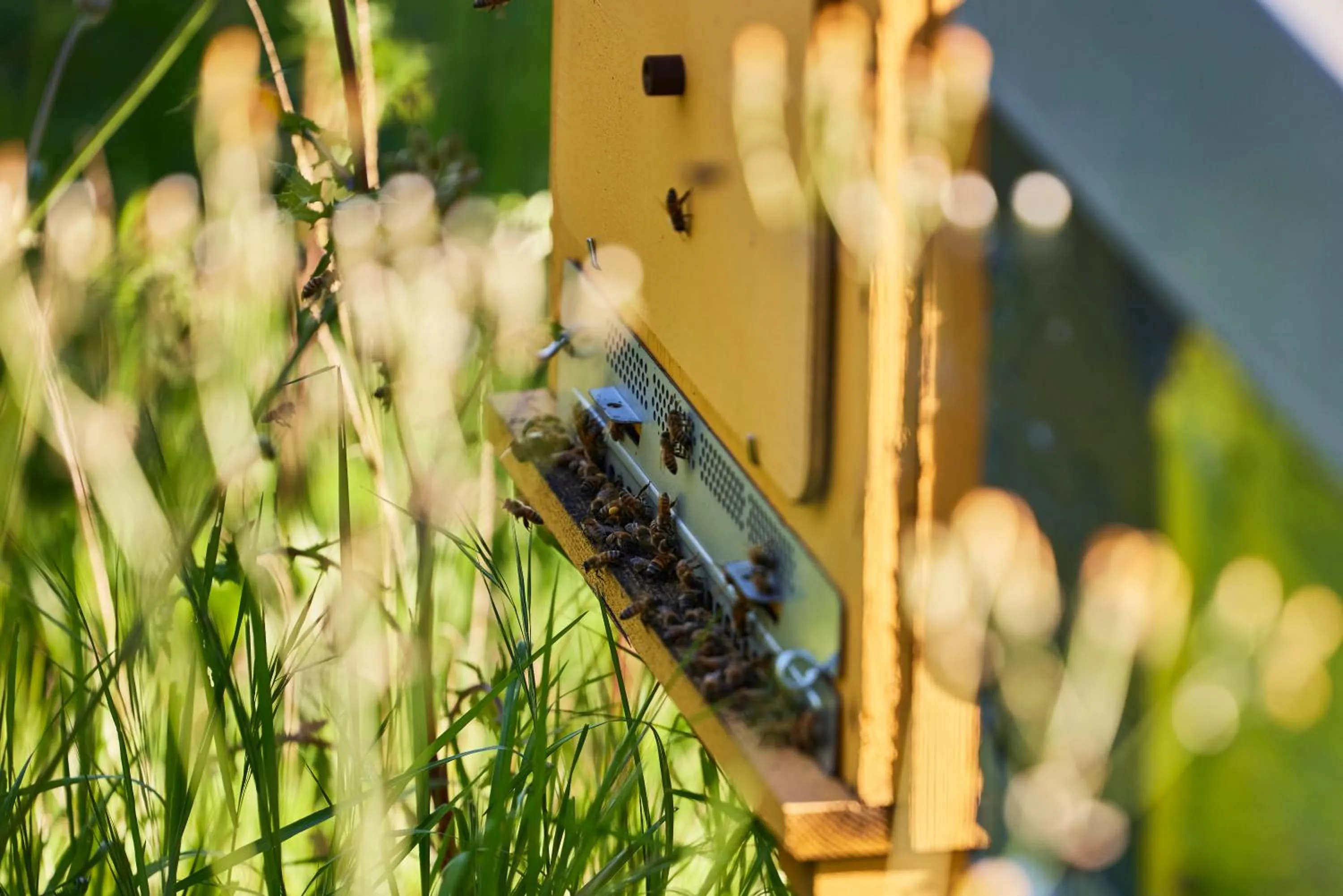 Garden in Hotel Borgo Di Cortefreda - Place of Charme