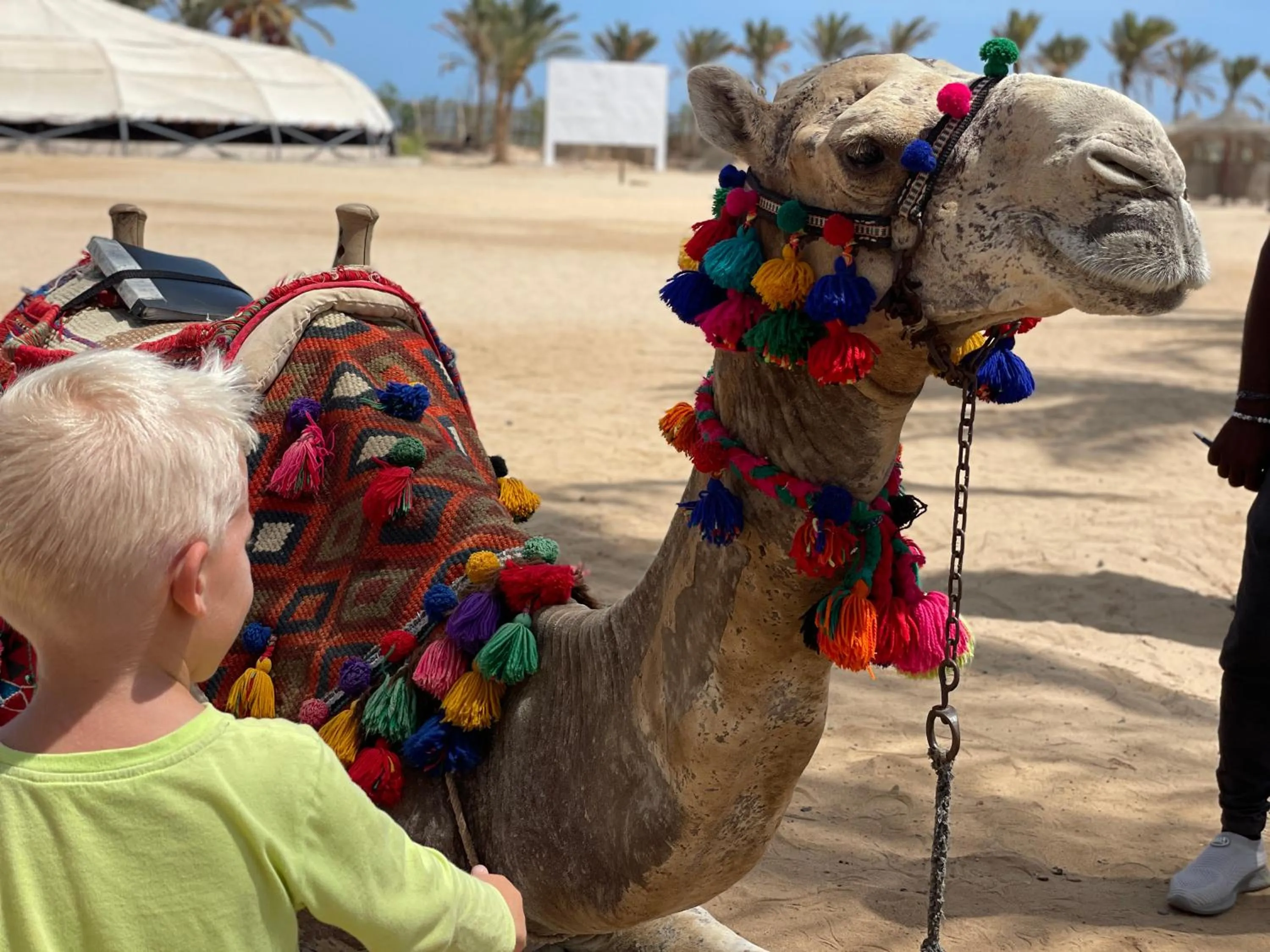 Animals in Dream Lagoon Resort & Aqua Park