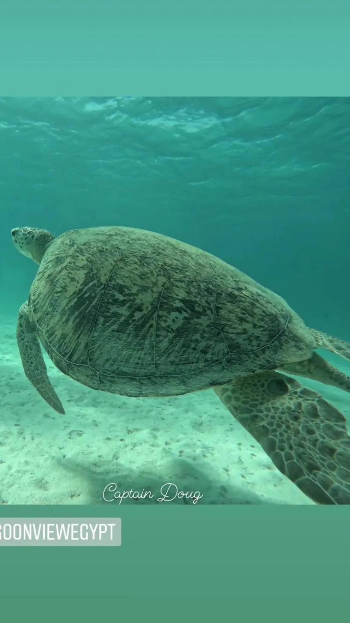 Snorkeling in Dream Lagoon Resort & Aqua Park