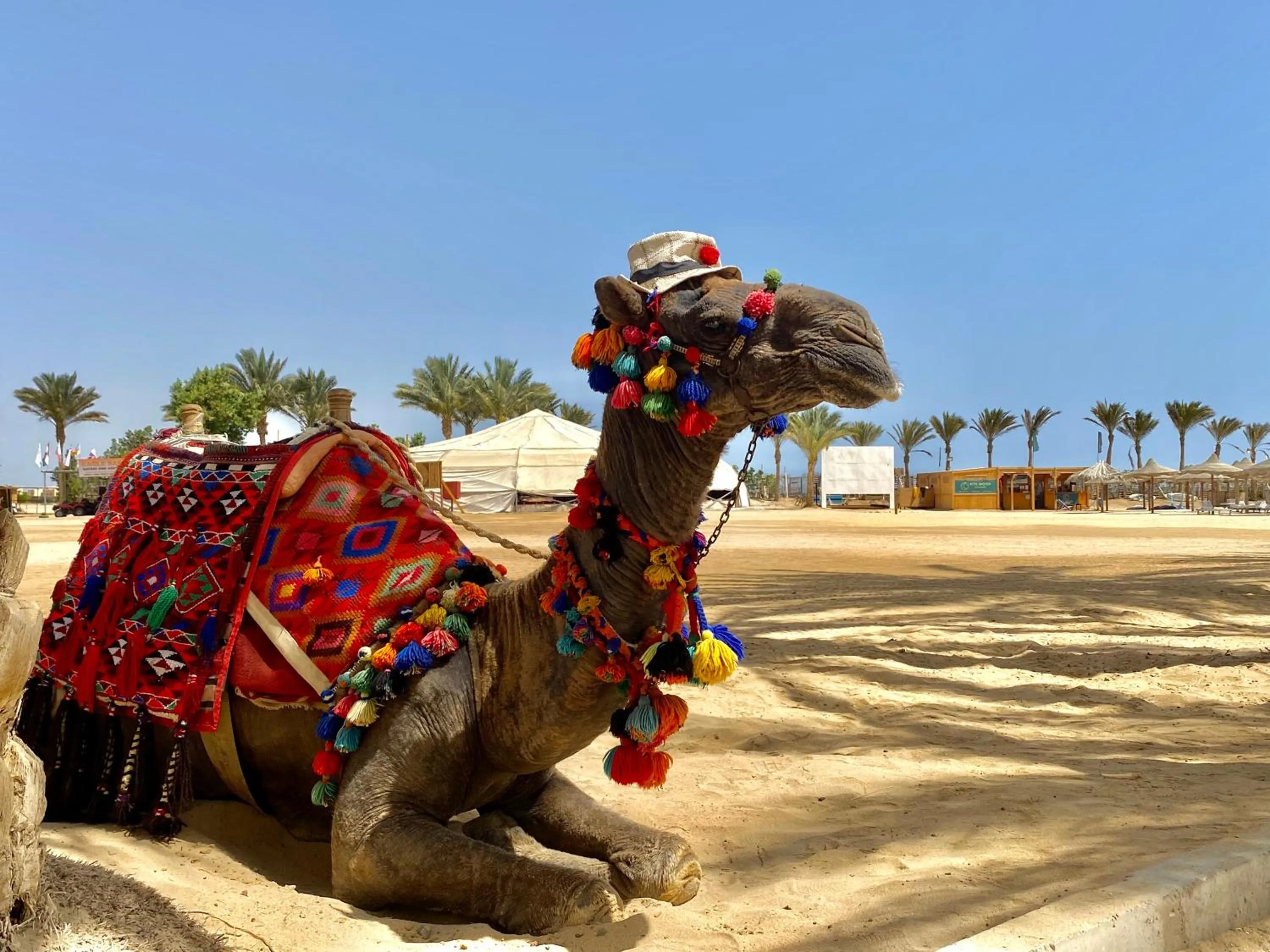 Dream Lagoon Resort & Aqua Park