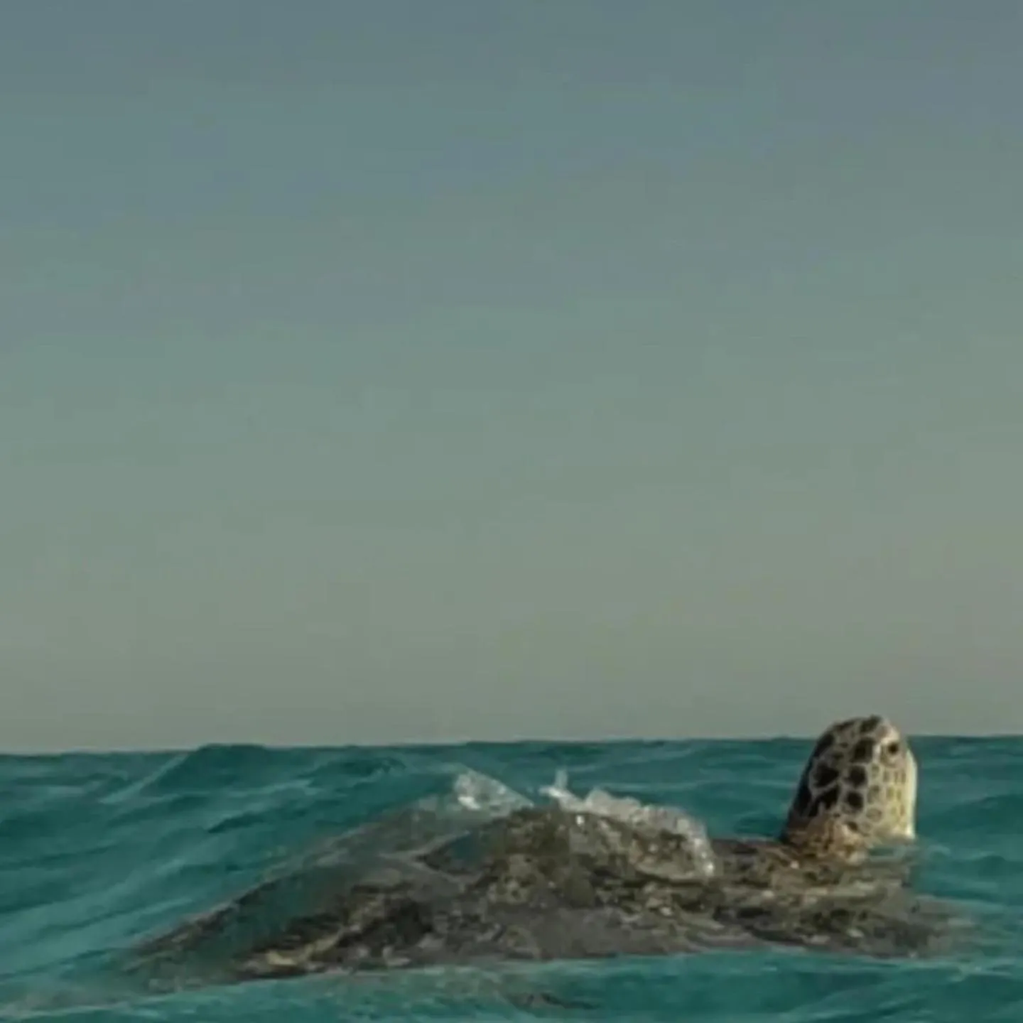 Natural landscape in Dream Lagoon Resort & Aqua Park