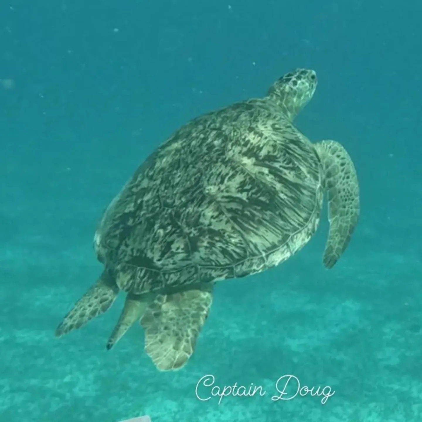 Snorkeling in Dream Lagoon Resort & Aqua Park