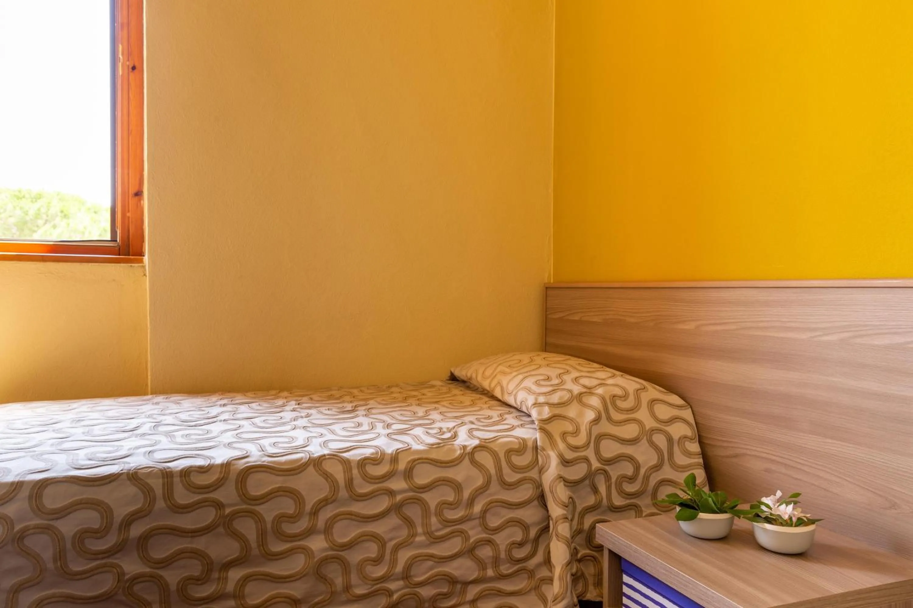 Photo of the whole room in Argentario Osa Resort