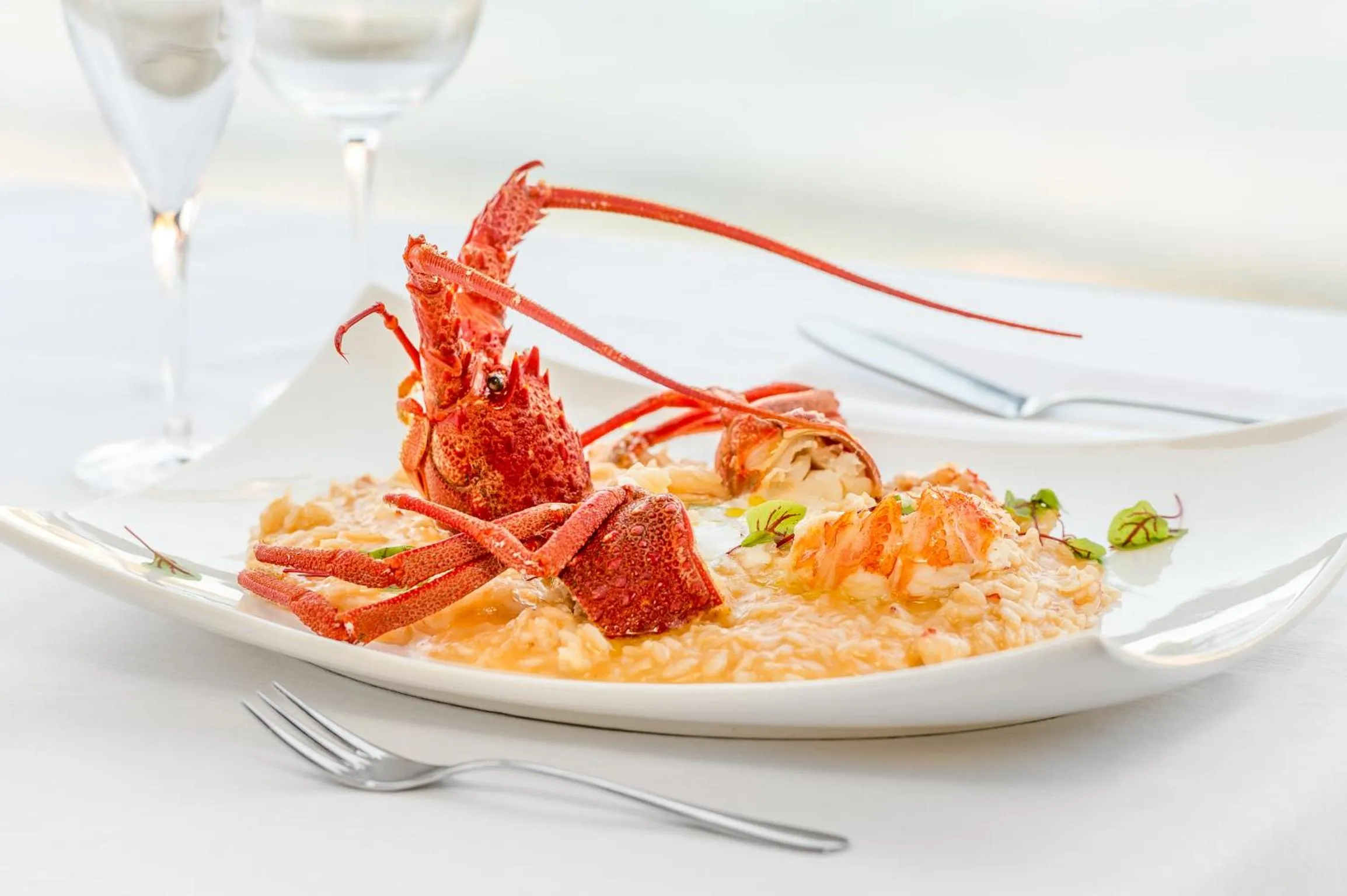 Restaurant/places to eat in Hotel Vis à Vis