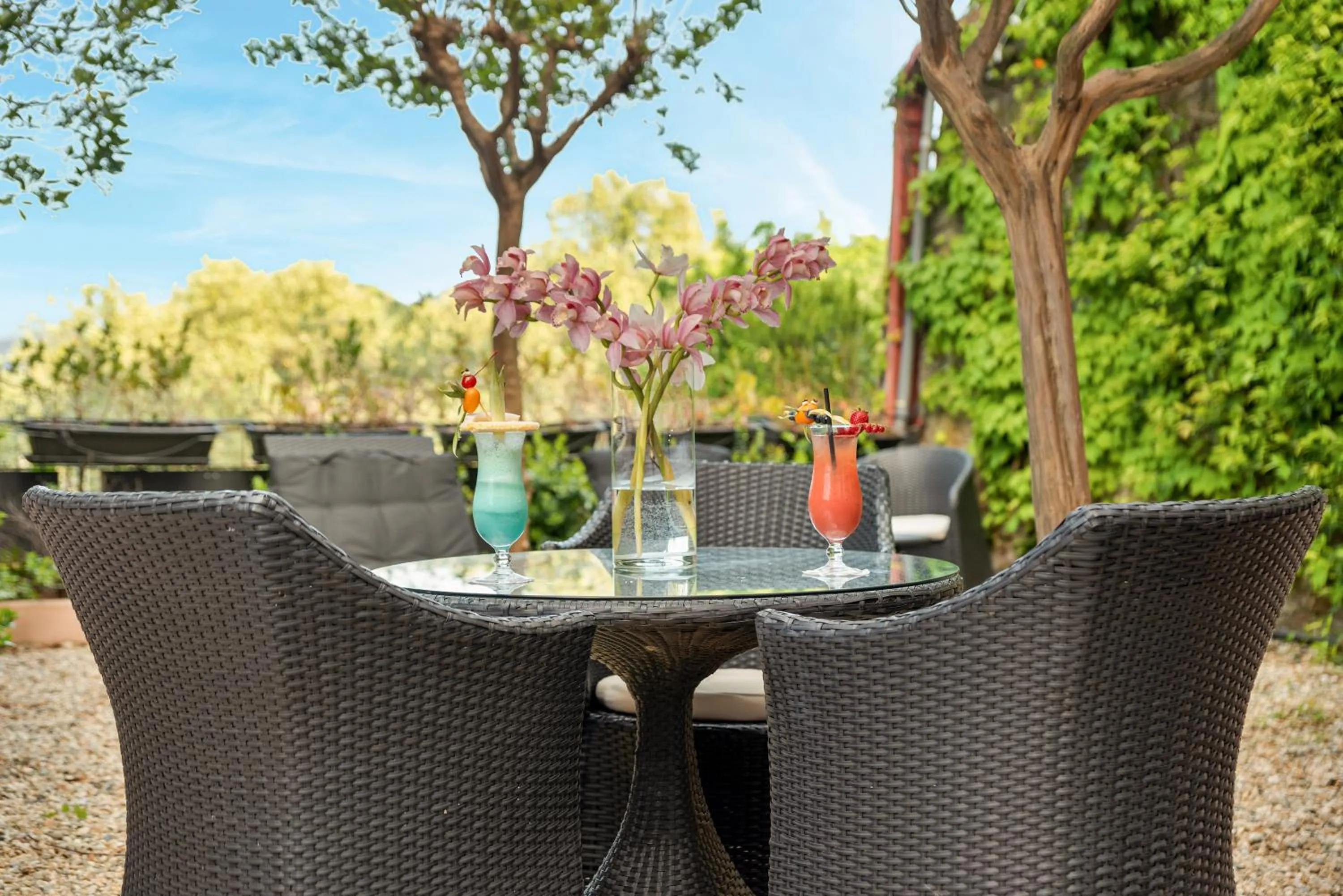 Garden in Hotel Vis à Vis