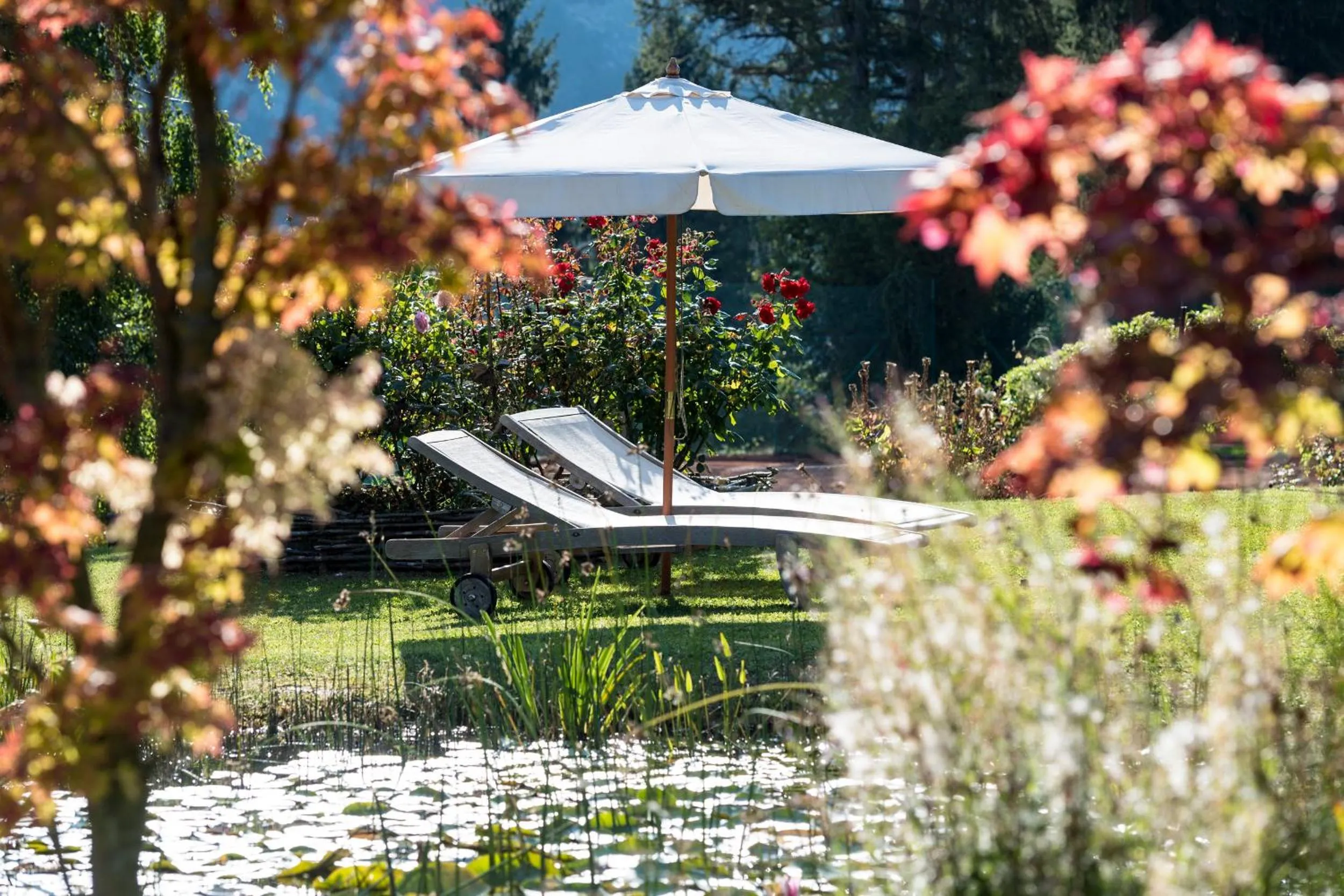 Garden in Alp Wellness Sport Hotel Panorama