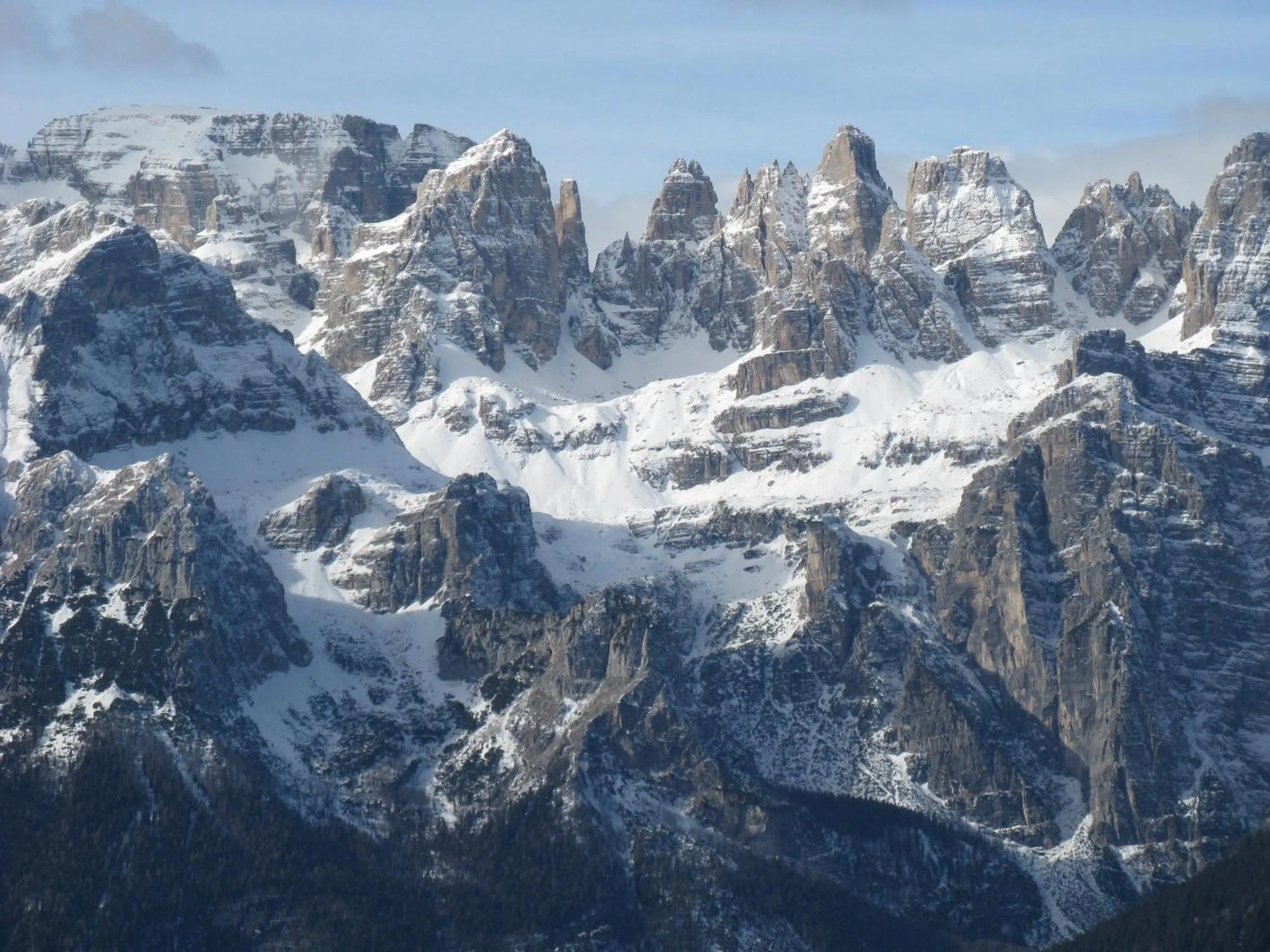 Area and facilities in Alp Wellness Sport Hotel Panorama