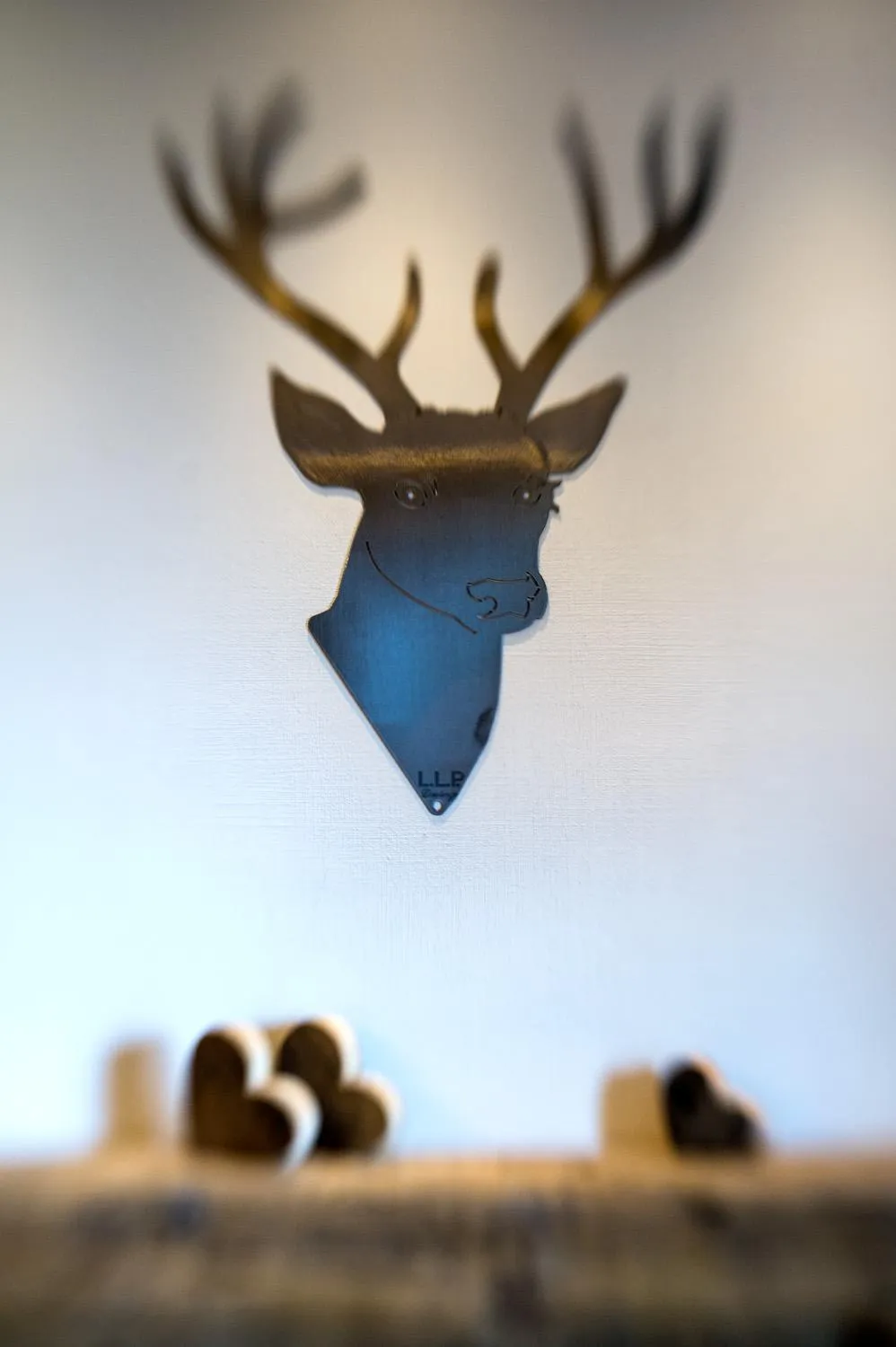 Decorative detail in Alp Wellness Sport Hotel Panorama